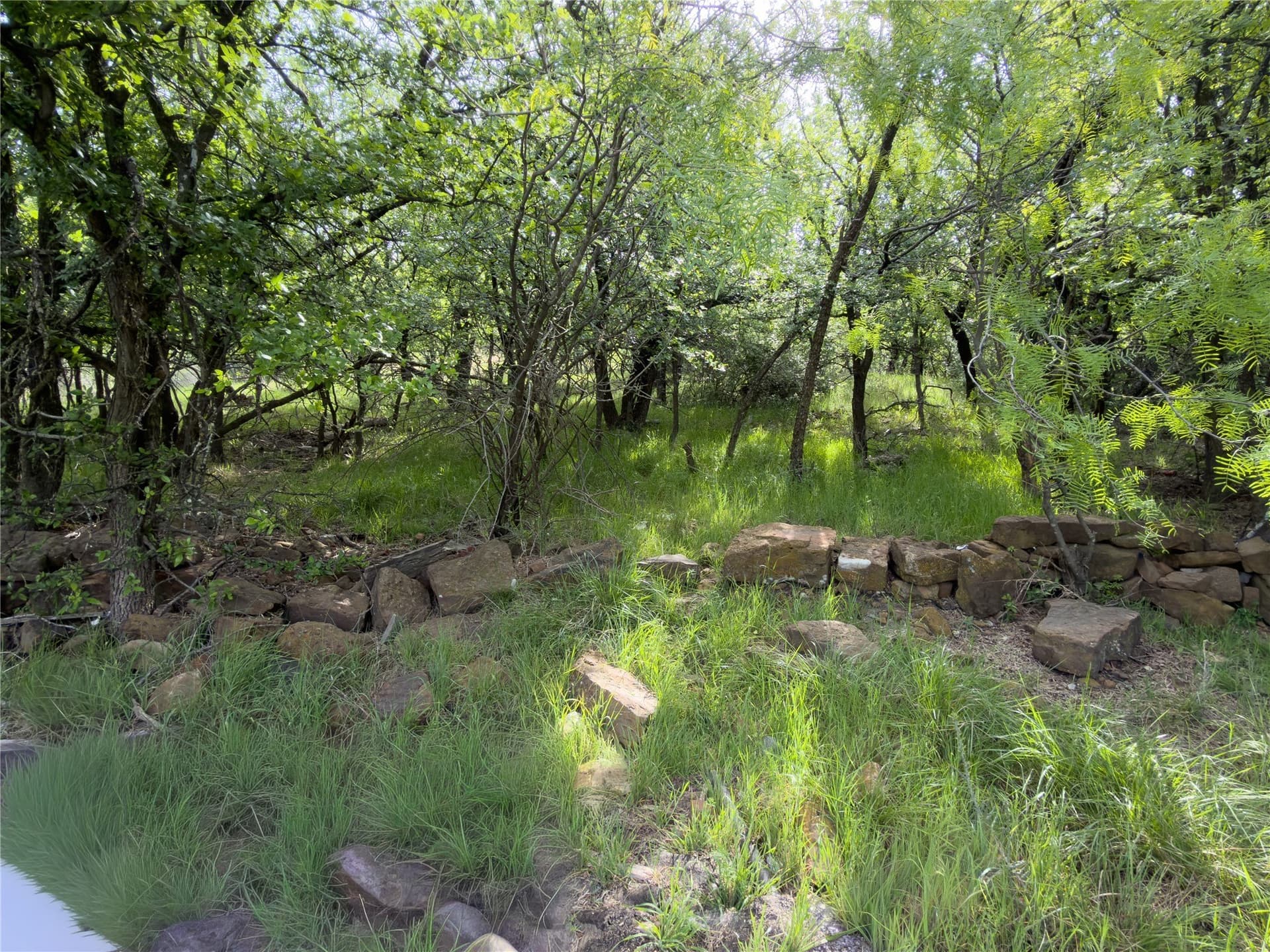 0.23 acres in Palo Pinto County - photo 13