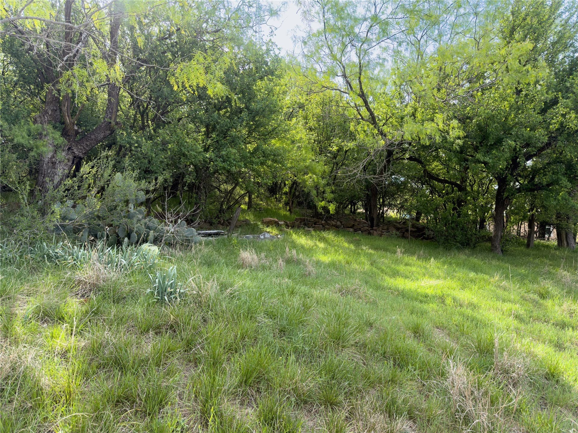 0.23 acres in Palo Pinto County - photo 11