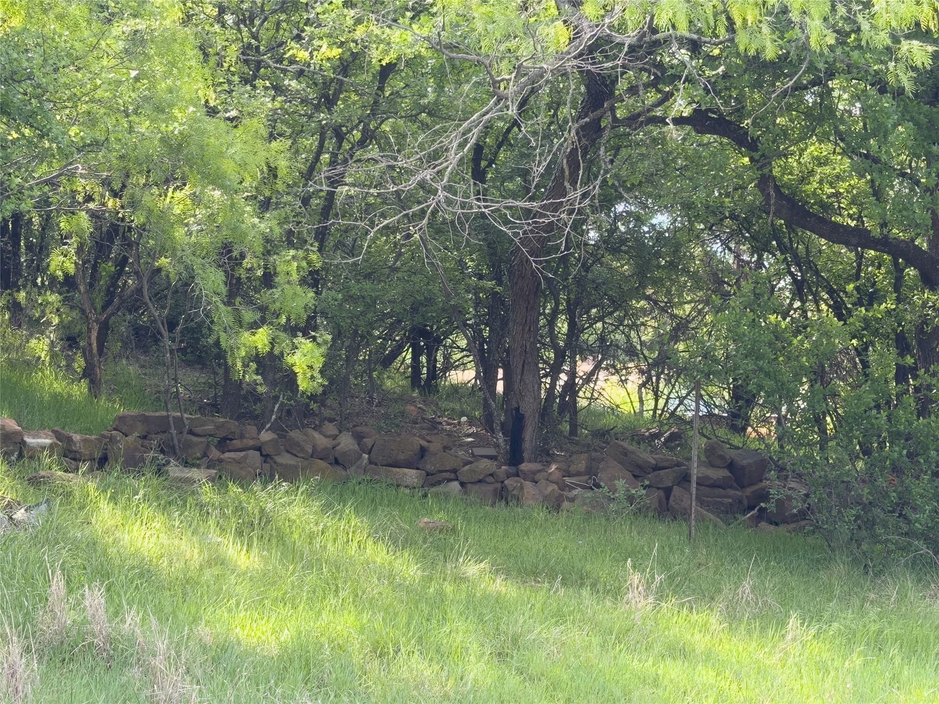 0.23 acres in Palo Pinto County - photo 12