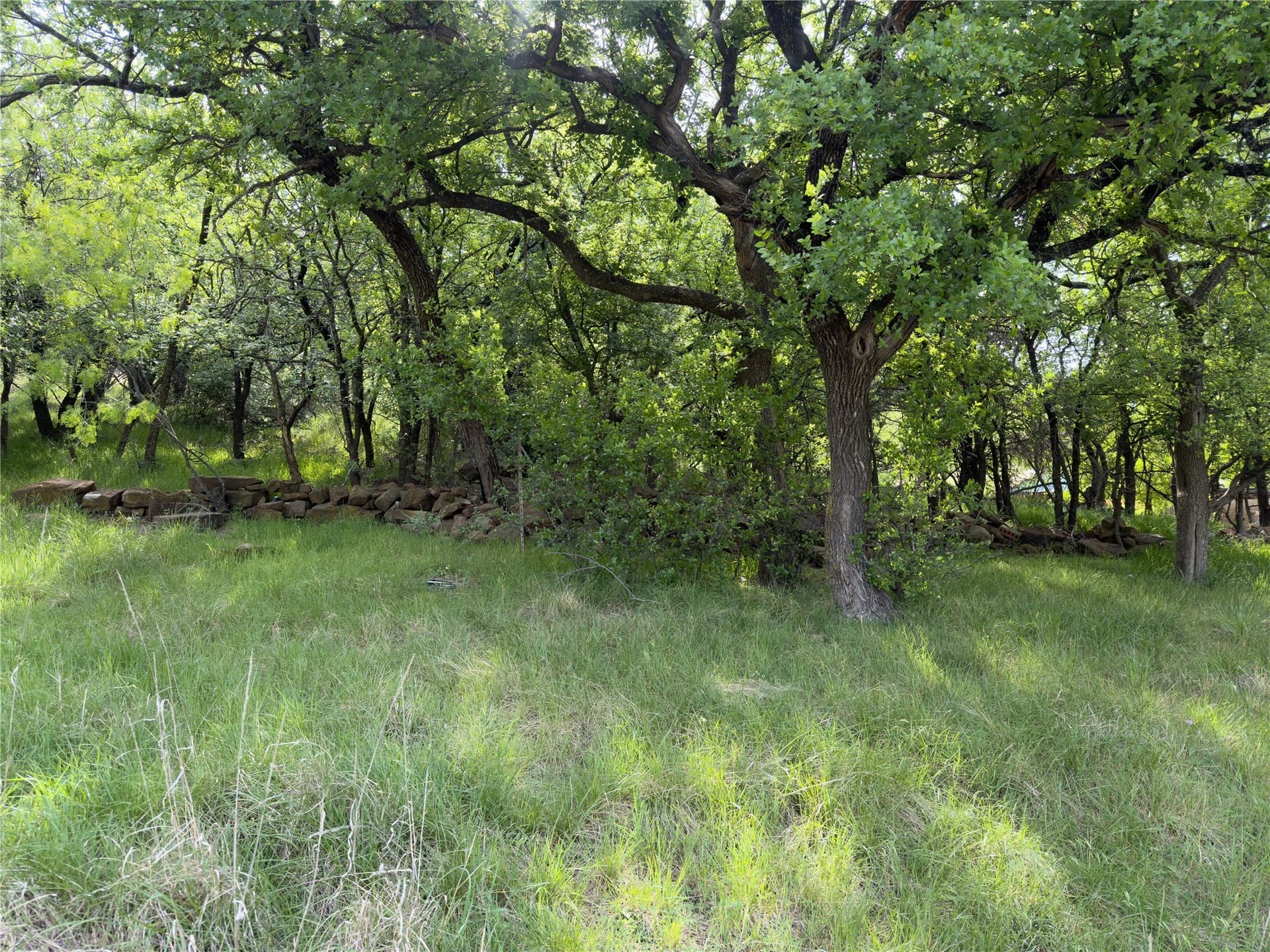 0.23 acres in Palo Pinto County - photo 9