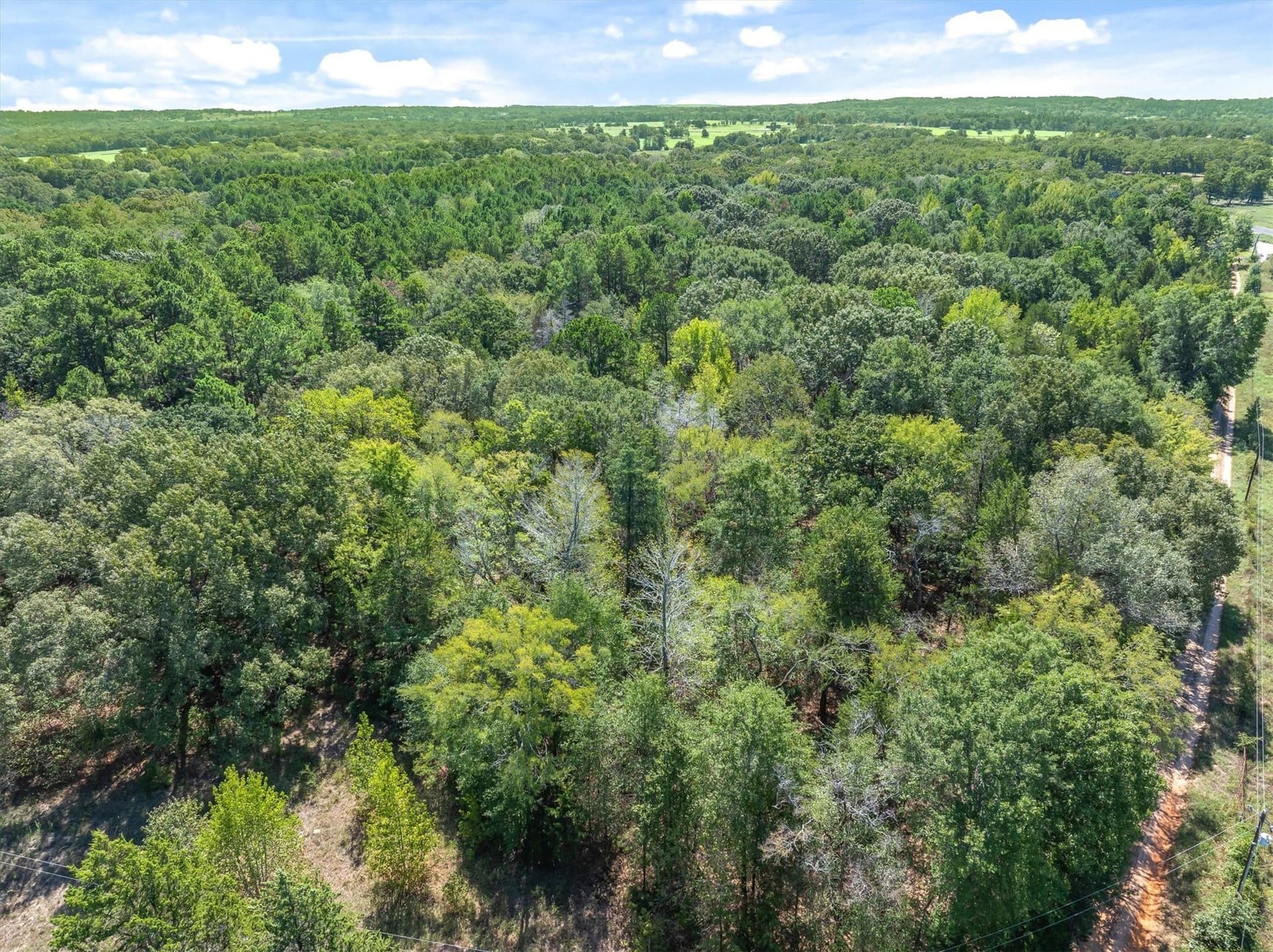 6.46 acres in Van Zandt County - photo 9
