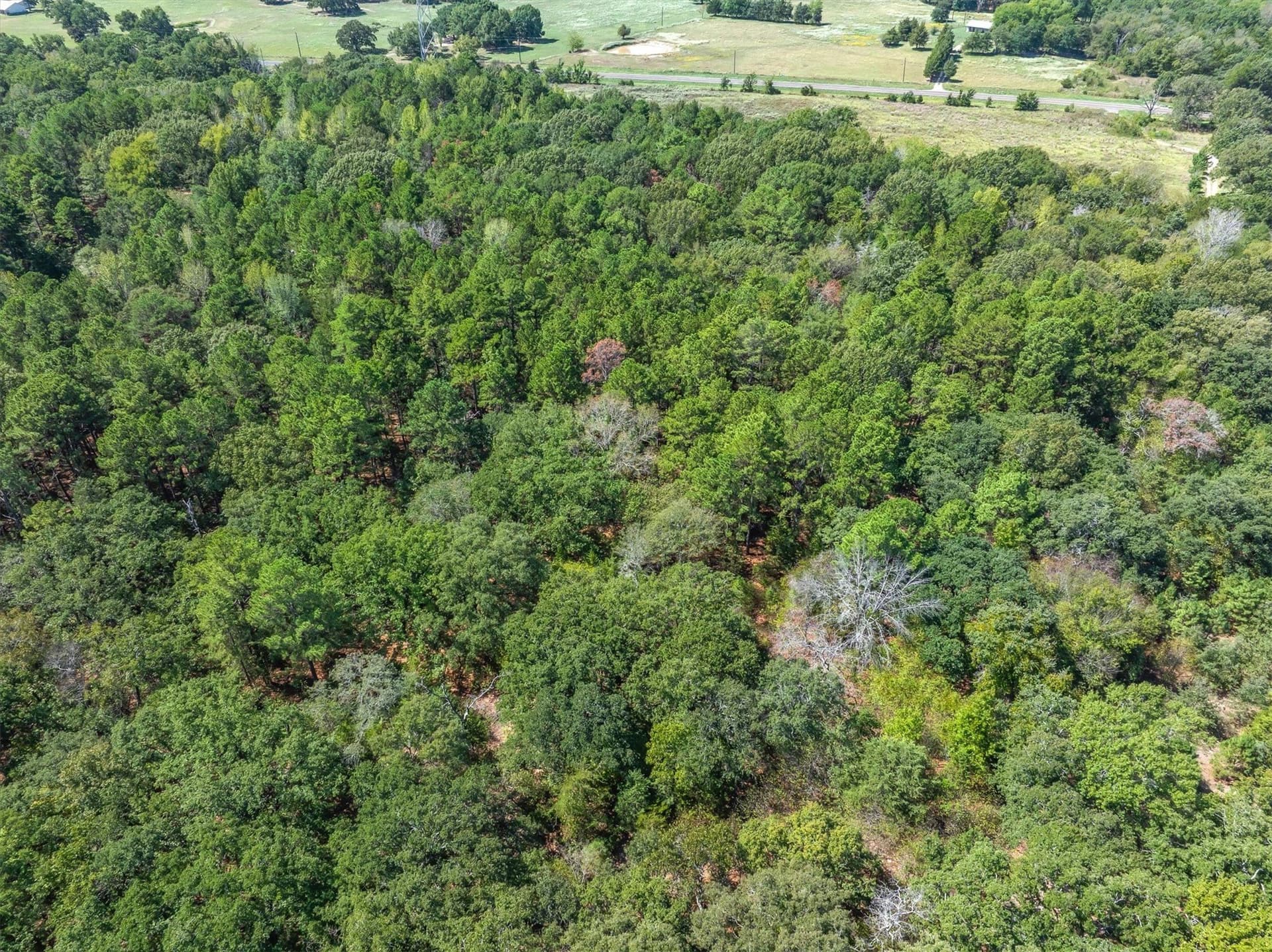 6.46 acres in Van Zandt County - photo 8