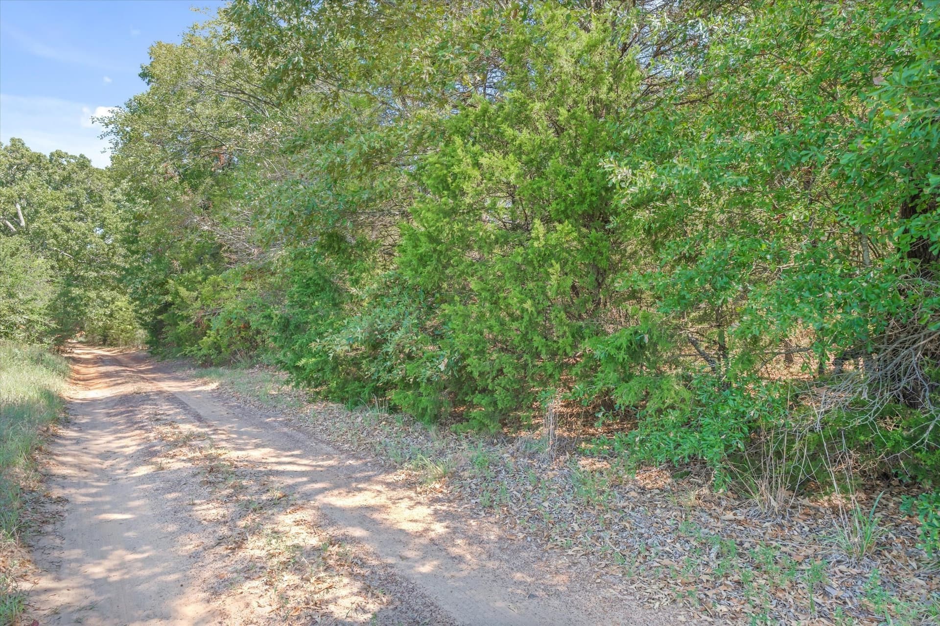 6.46 acres in Van Zandt County - photo 5