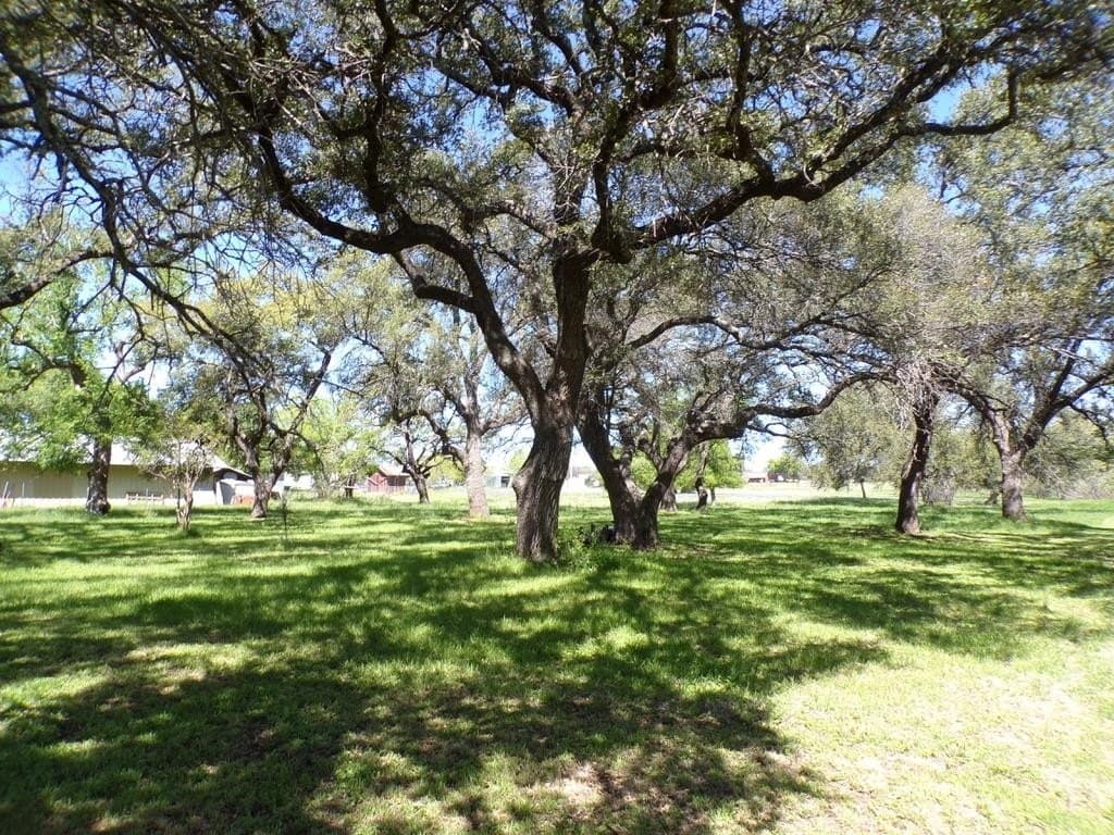 1.5 acres in Llano County gallery image 4