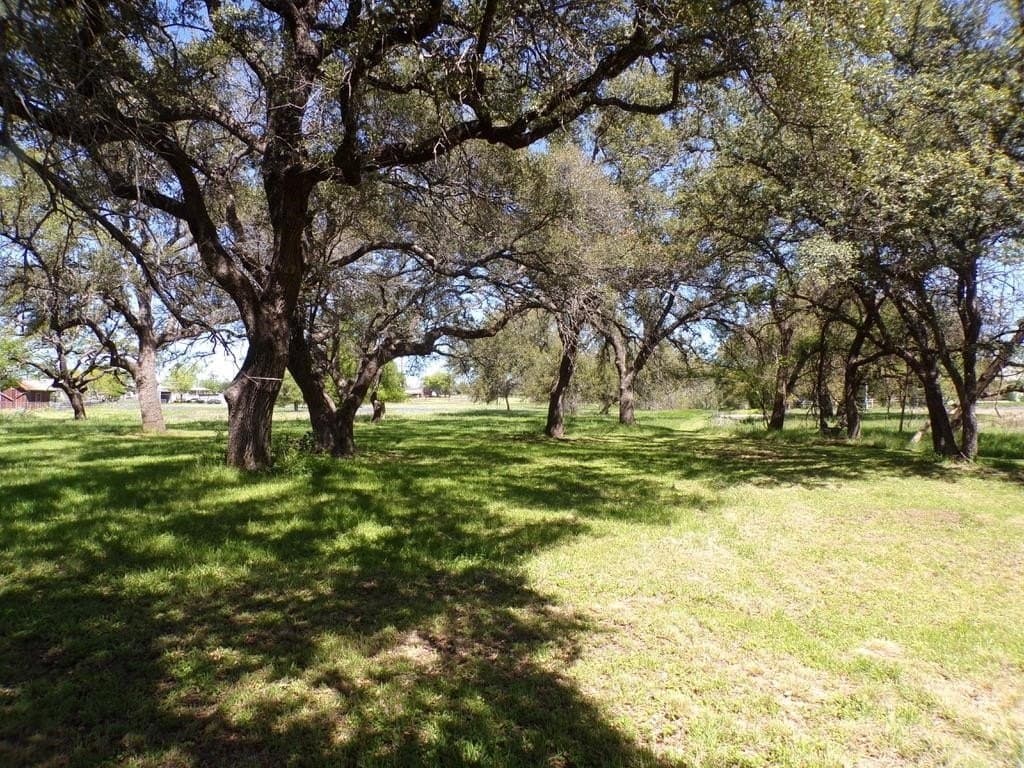 1.5 acres in Llano County gallery image 3