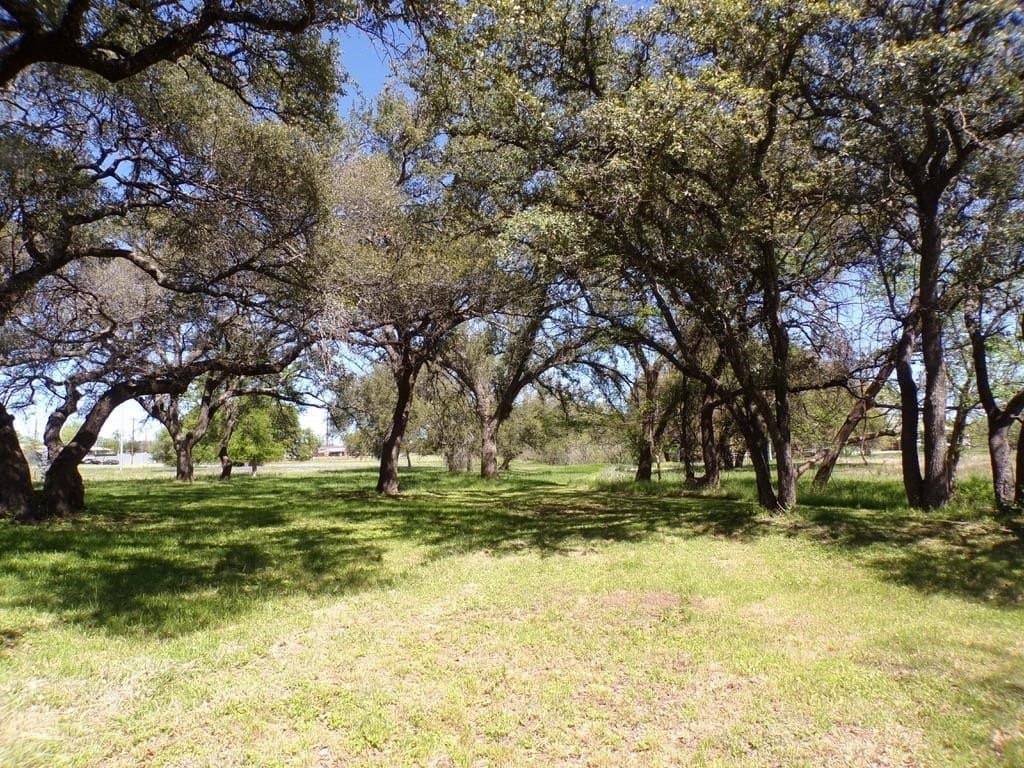 1.5 acres in Llano County - photo 7