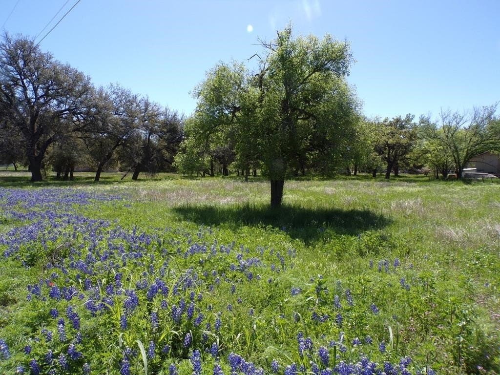 1.5 acres in Llano County gallery image 2