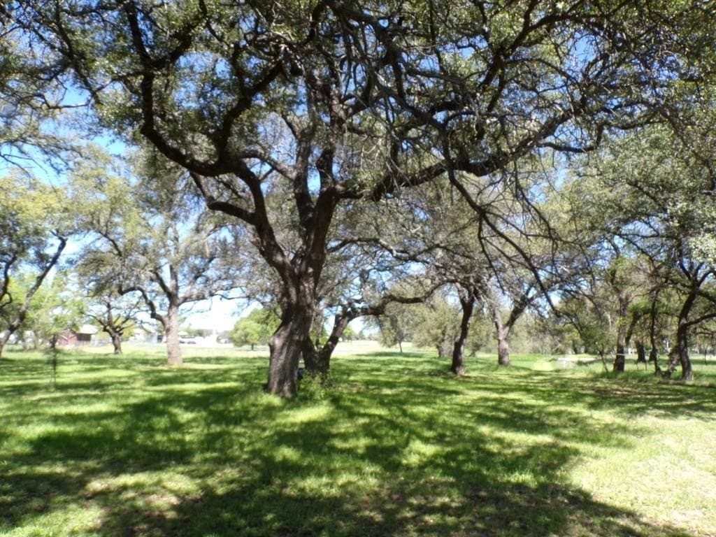1.5 acres in Llano County - photo 6
