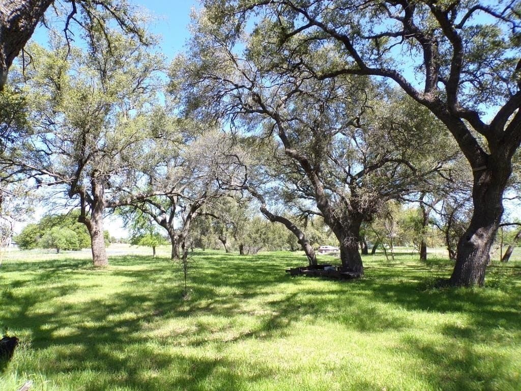 1.5 acres in Llano County - photo 9
