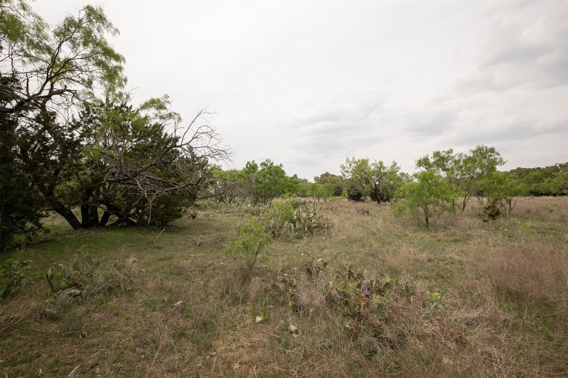 5.51 acres in Burnet County - photo 24