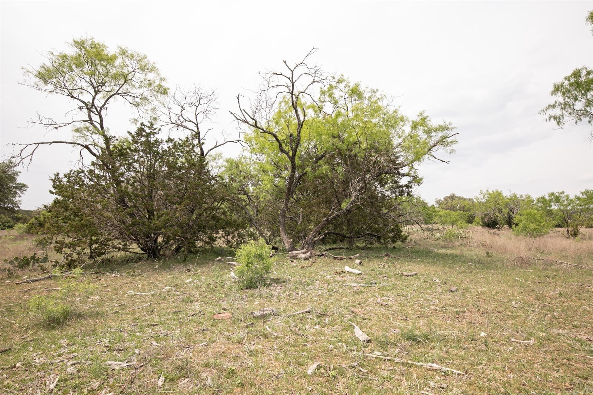 5.51 acres in Burnet County - photo 22