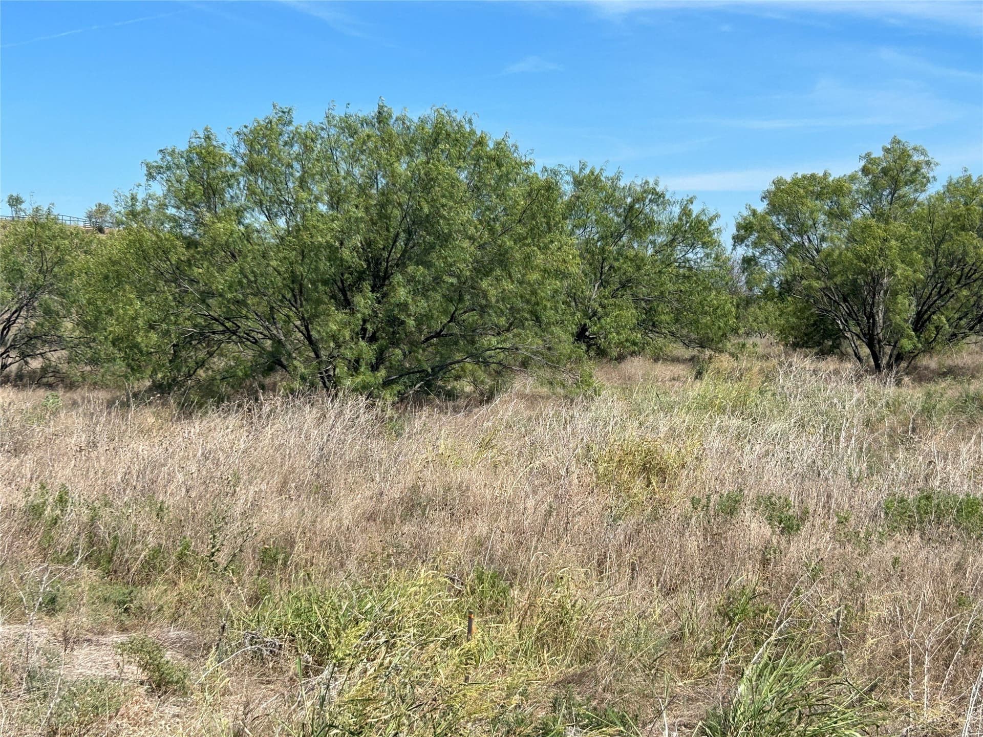2.07 acres in Parker County - photo 6