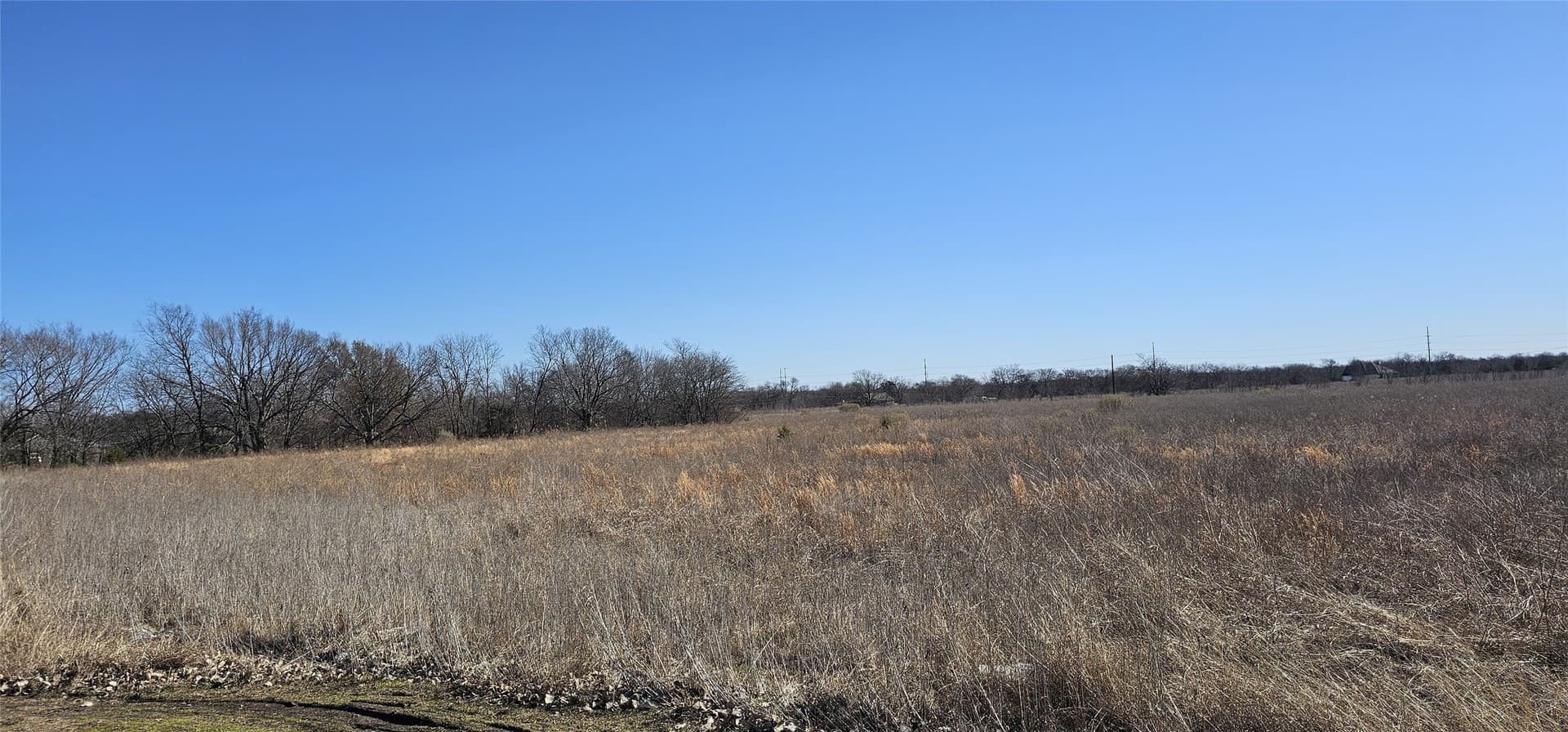 3.51 acres in Hunt County gallery image 3