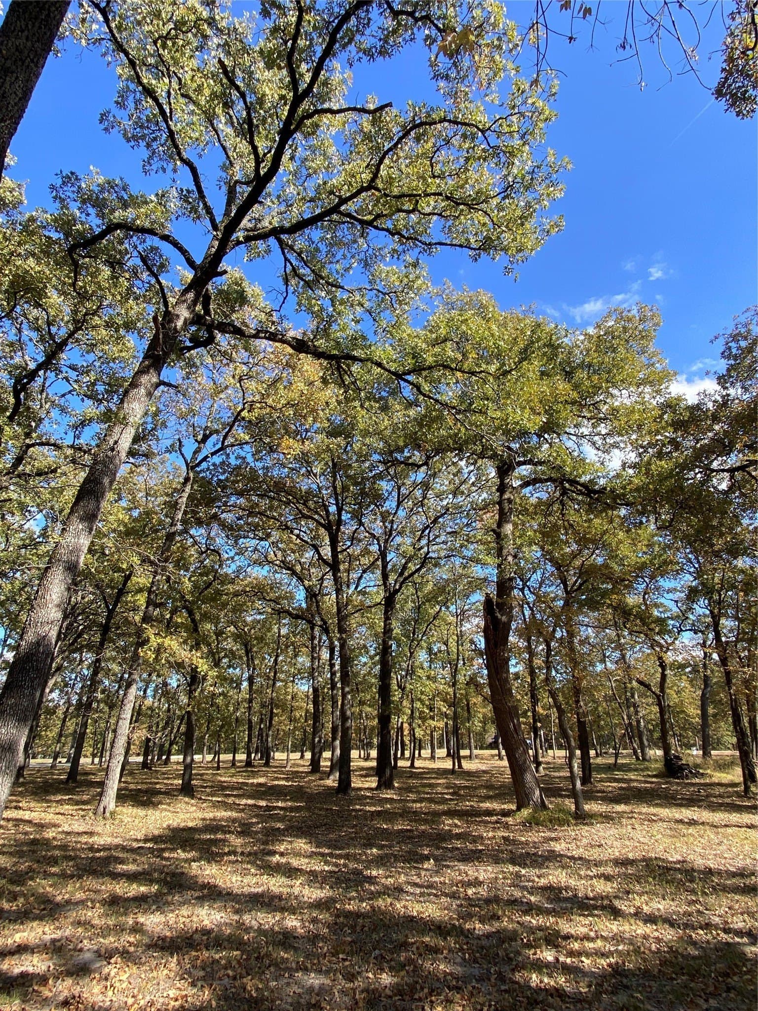 2.5 acres in Hunt County - photo 10