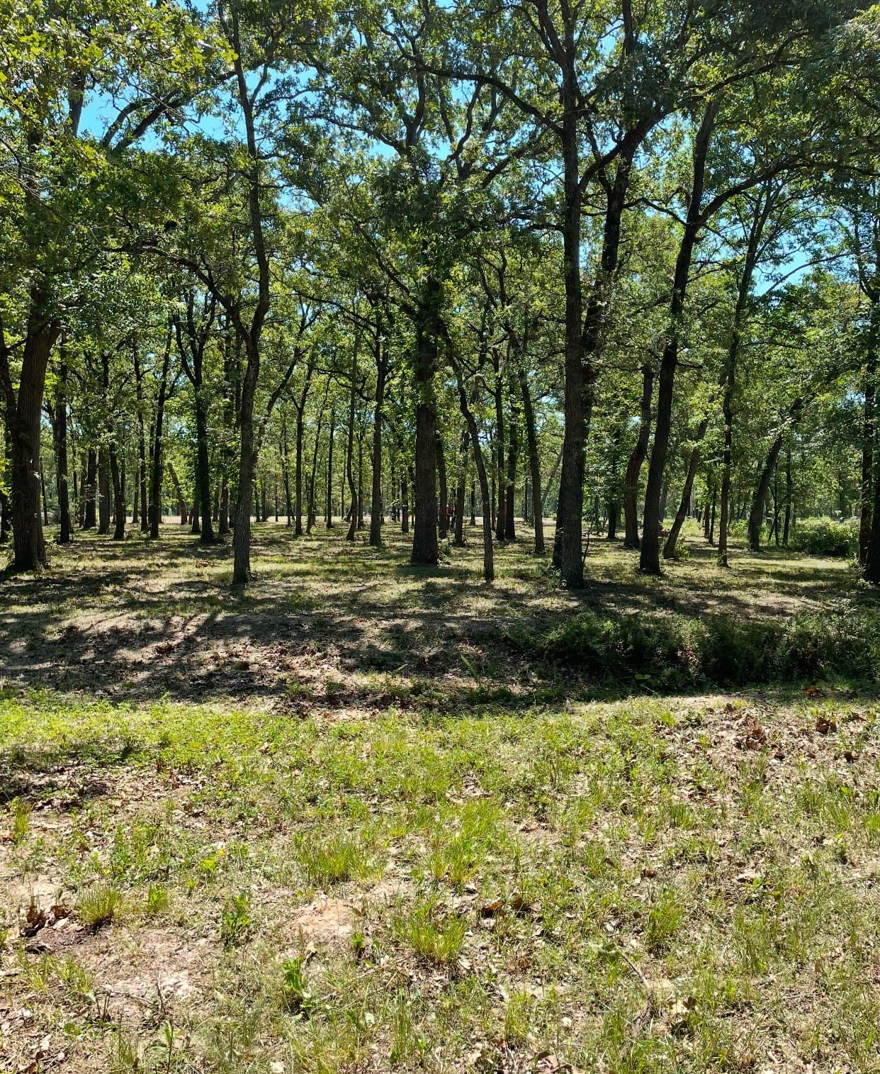 2.5 acres in Hunt County - photo 11