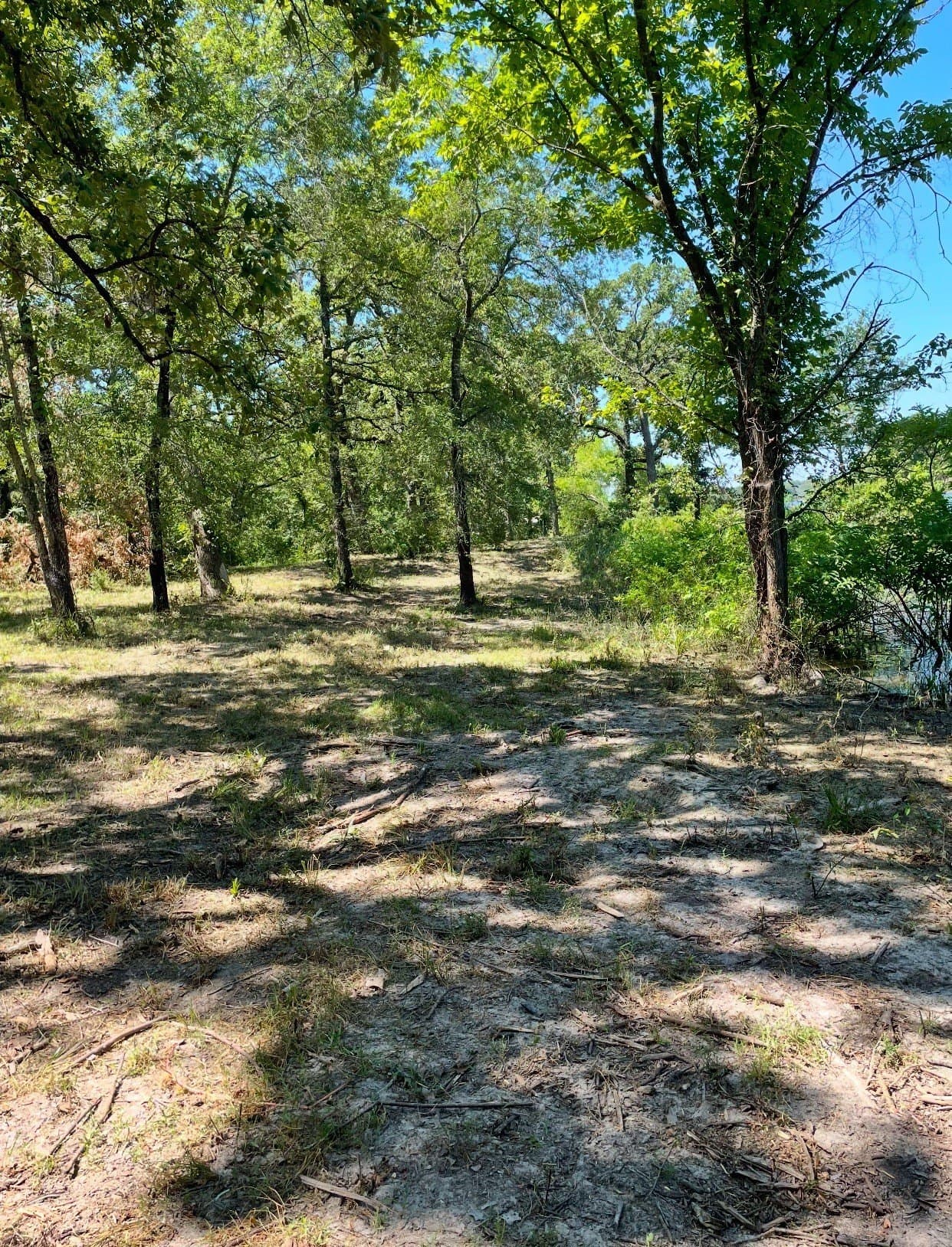 2.5 acres in Hunt County - photo 12