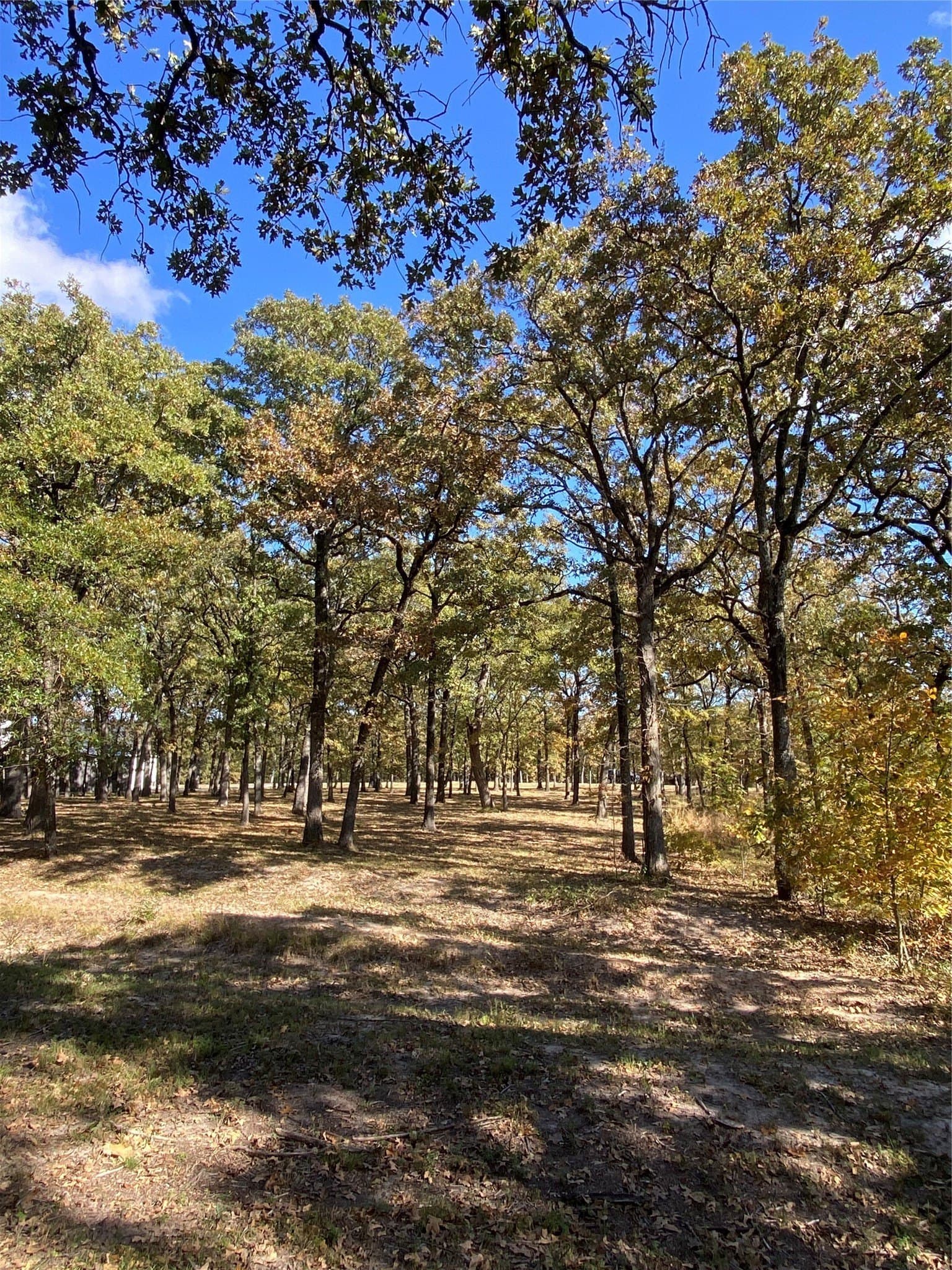 2.5 acres in Hunt County - photo 6