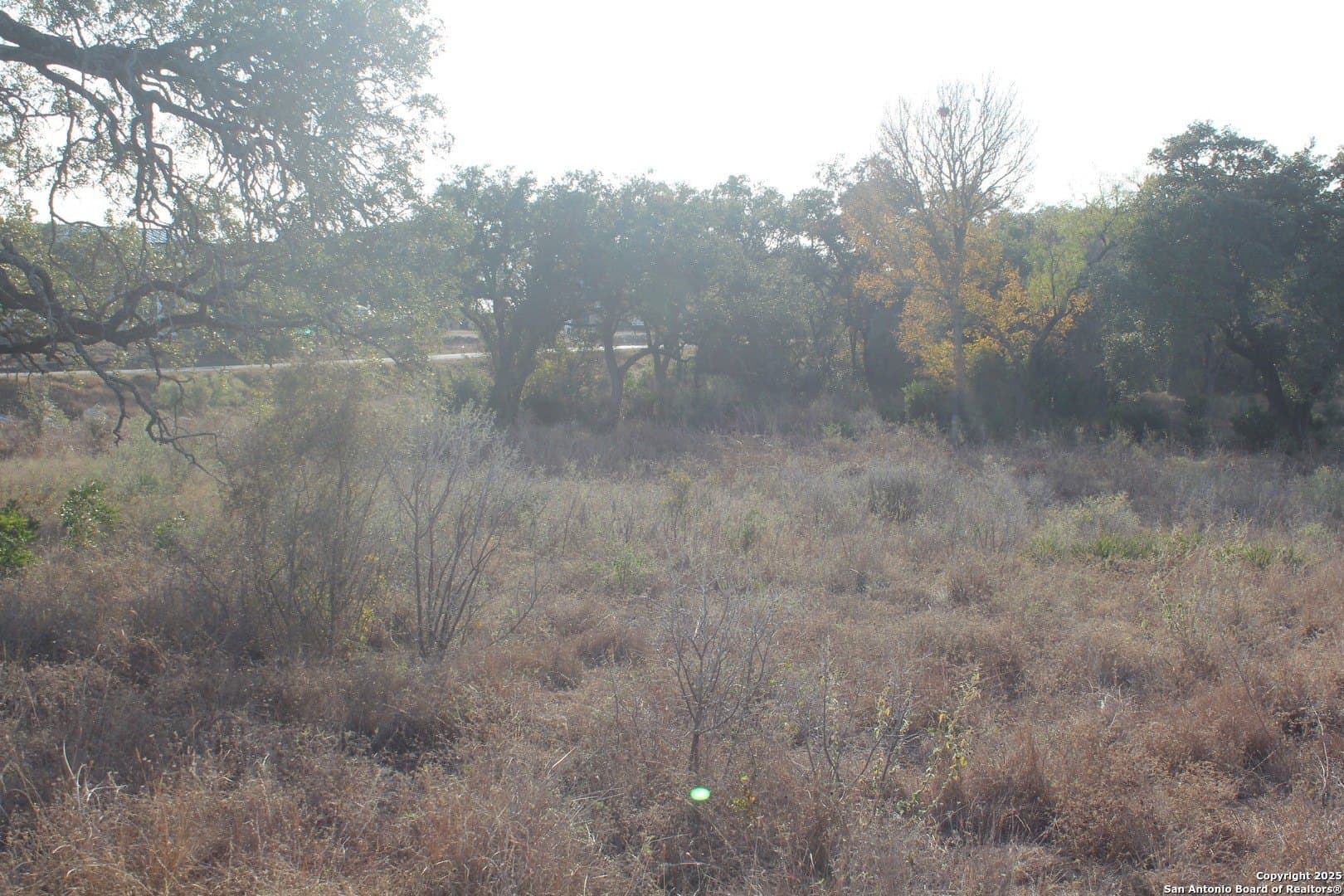 1.5 acres in Medina County - photo 7