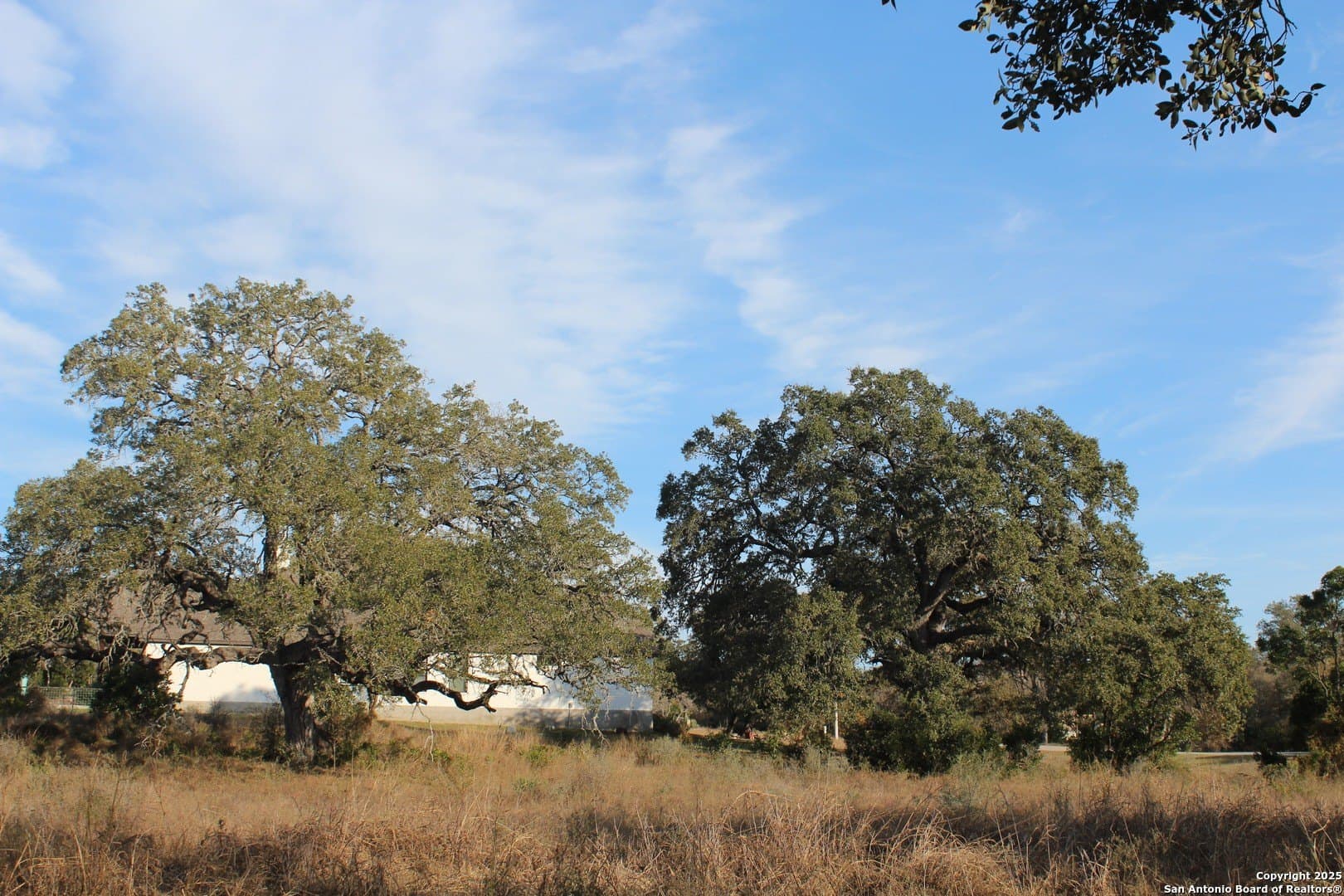1.5 acres in Medina County gallery image 4