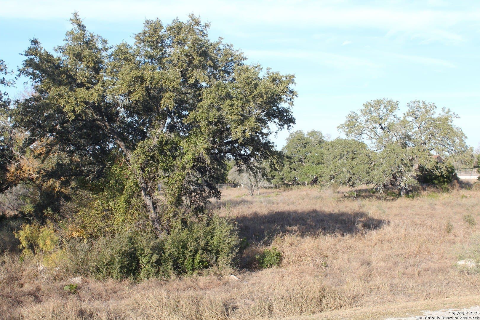 1.5 acres in Medina County - photo 6