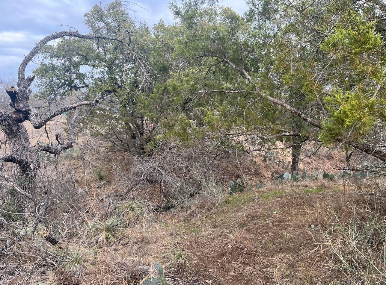 0.11 acres in Burnet County - photo 8