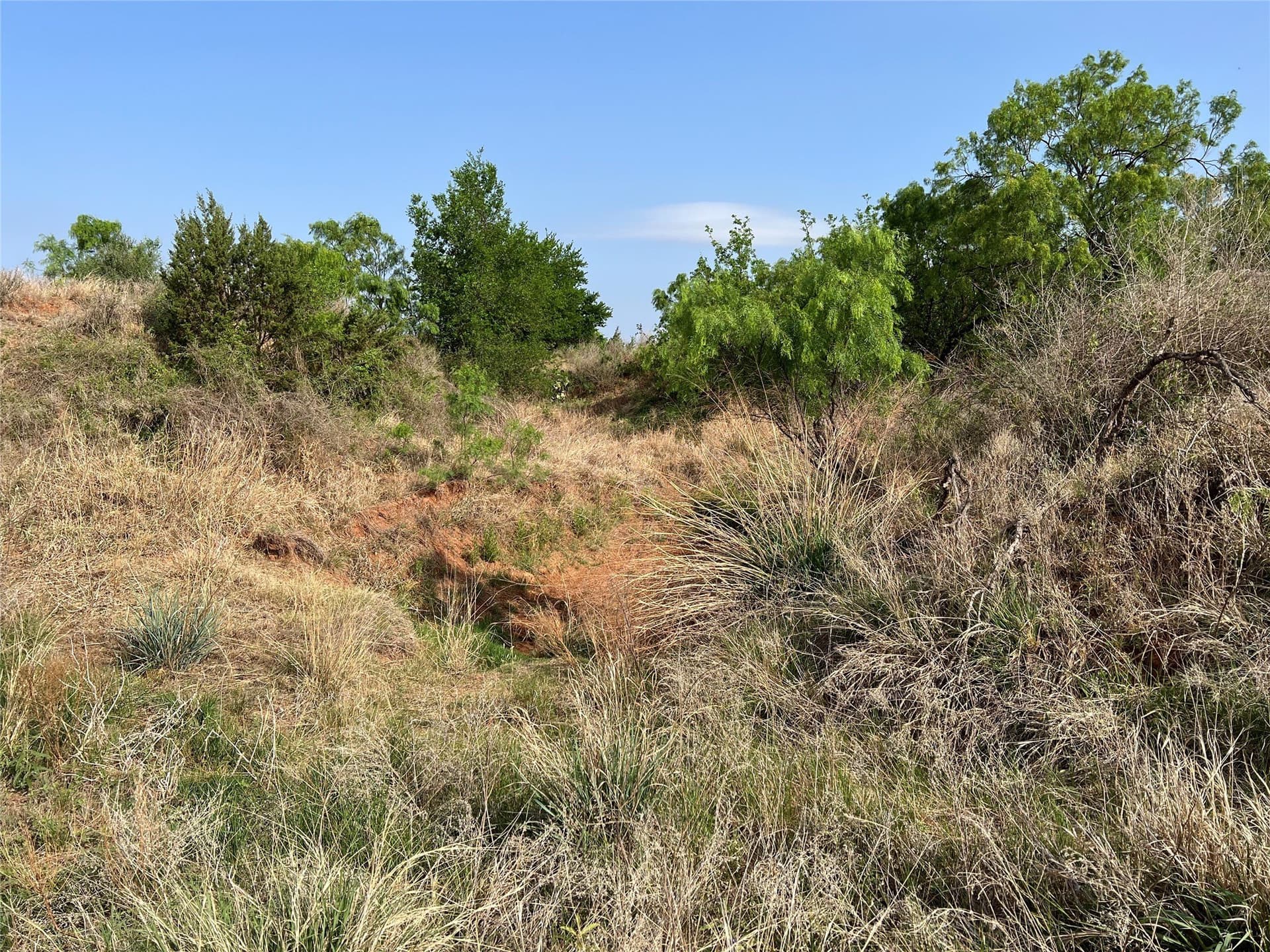 35 acres in Coke County - photo 21