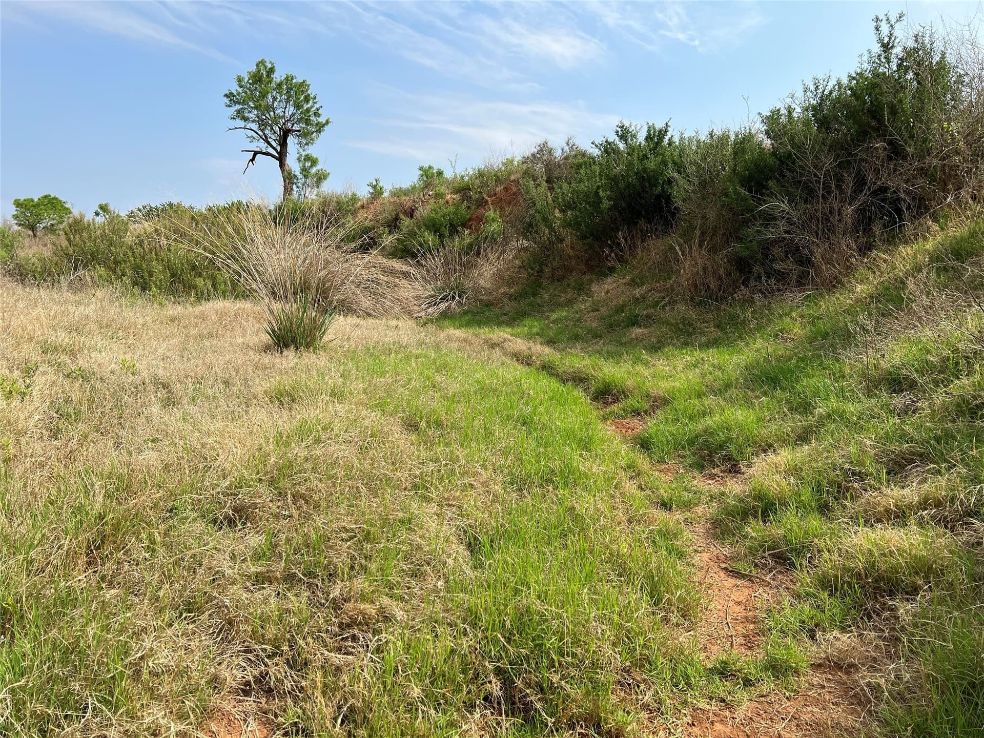 35 acres in Coke County - photo 27