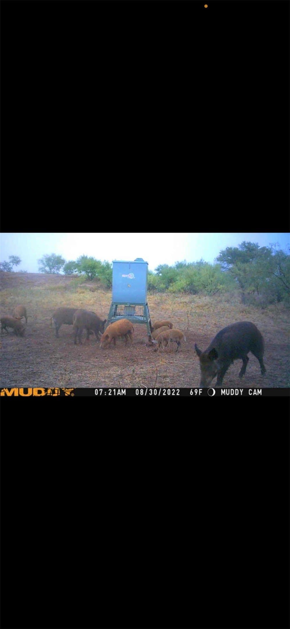 35 acres in Coke County - photo 4