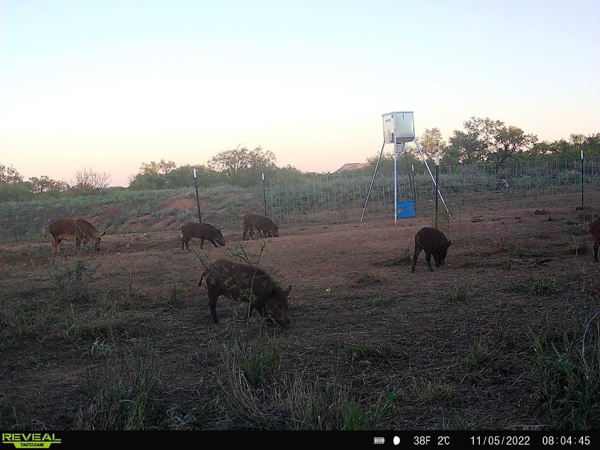 35 acres in Coke County - photo 6
