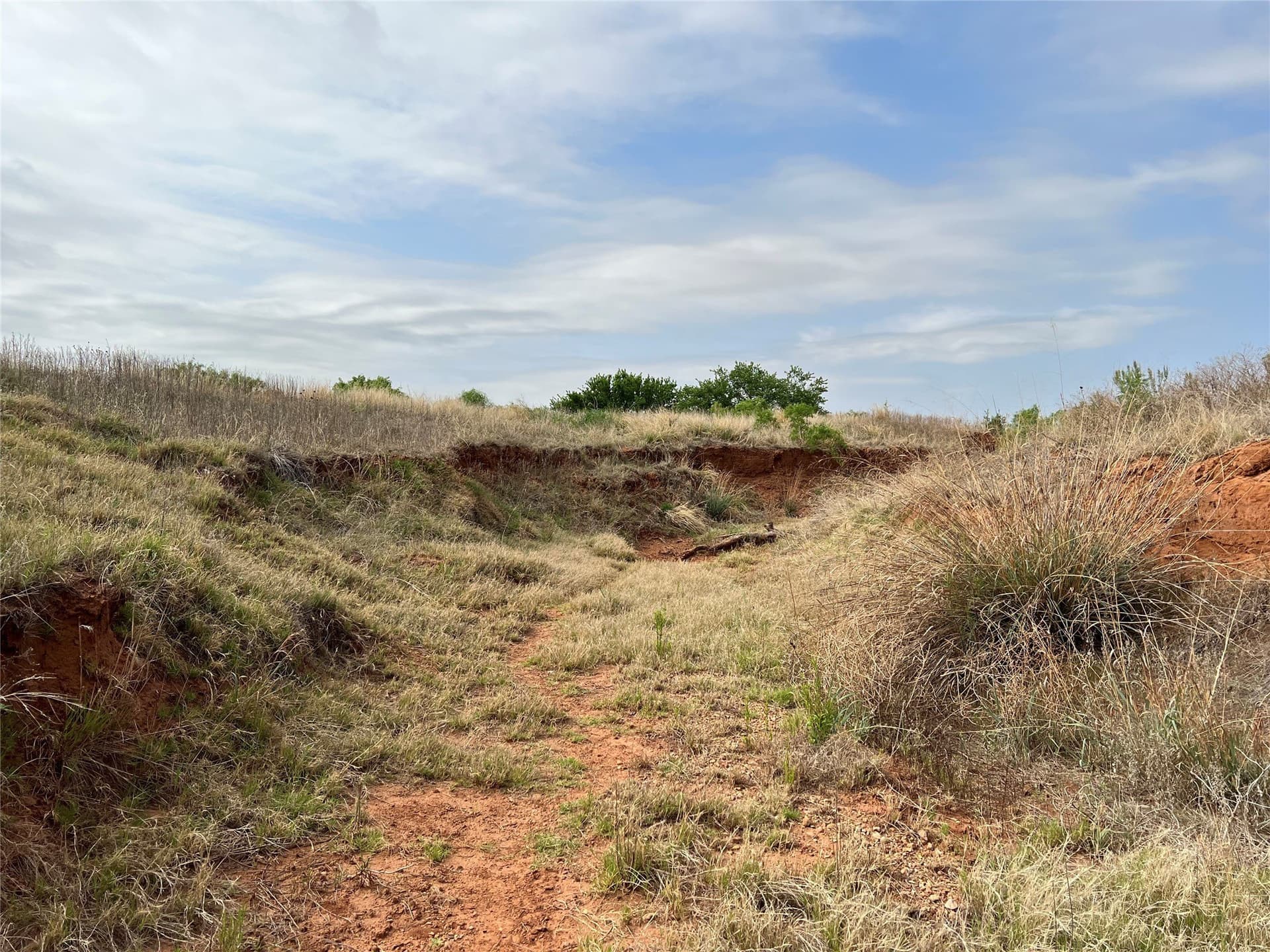 35 acres in Coke County - photo 30