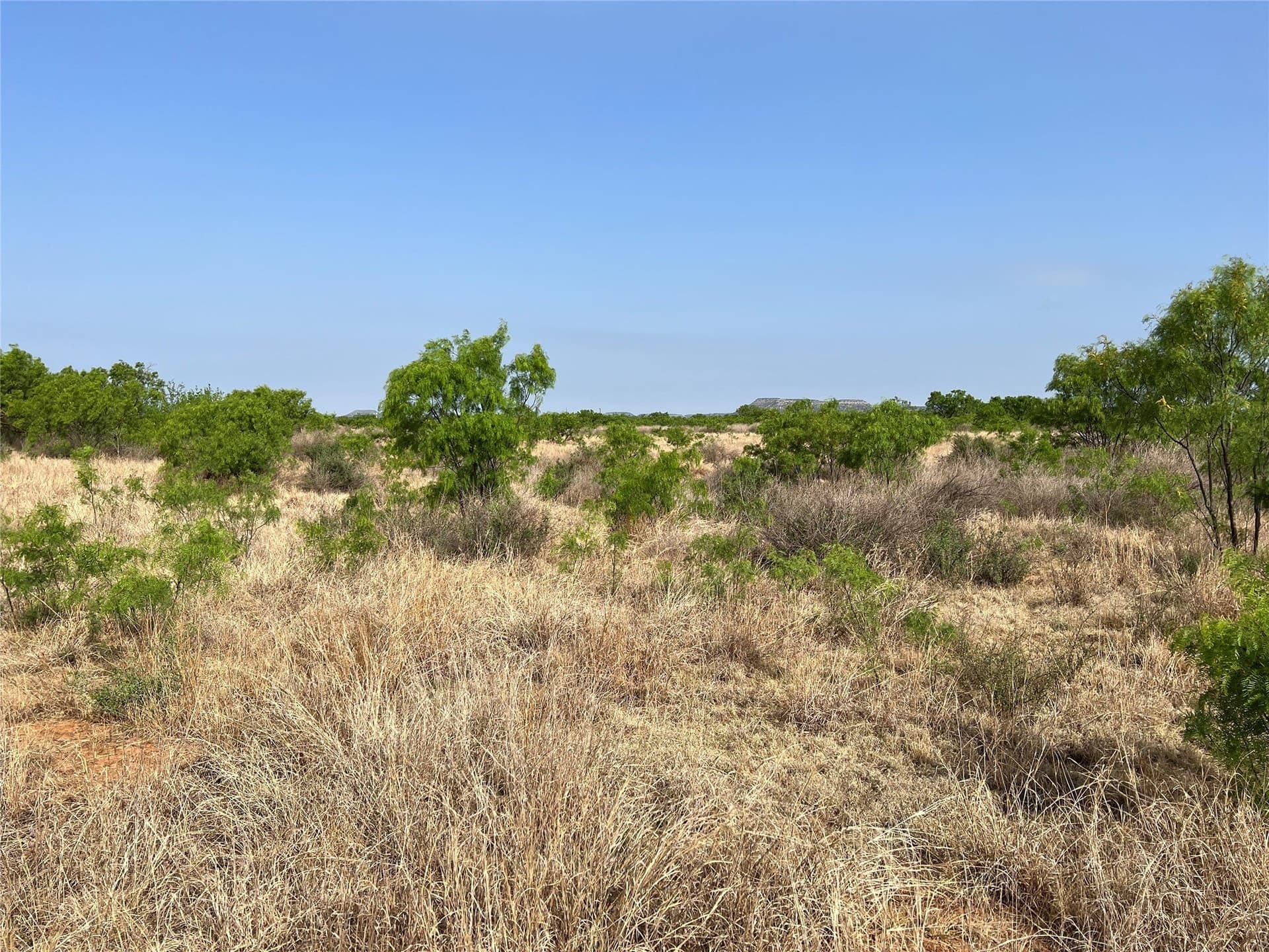 35 acres in Coke County - photo 19