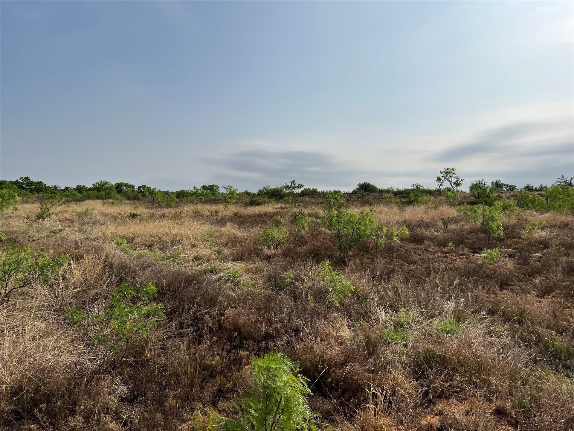 35 acres in Coke County - photo 14