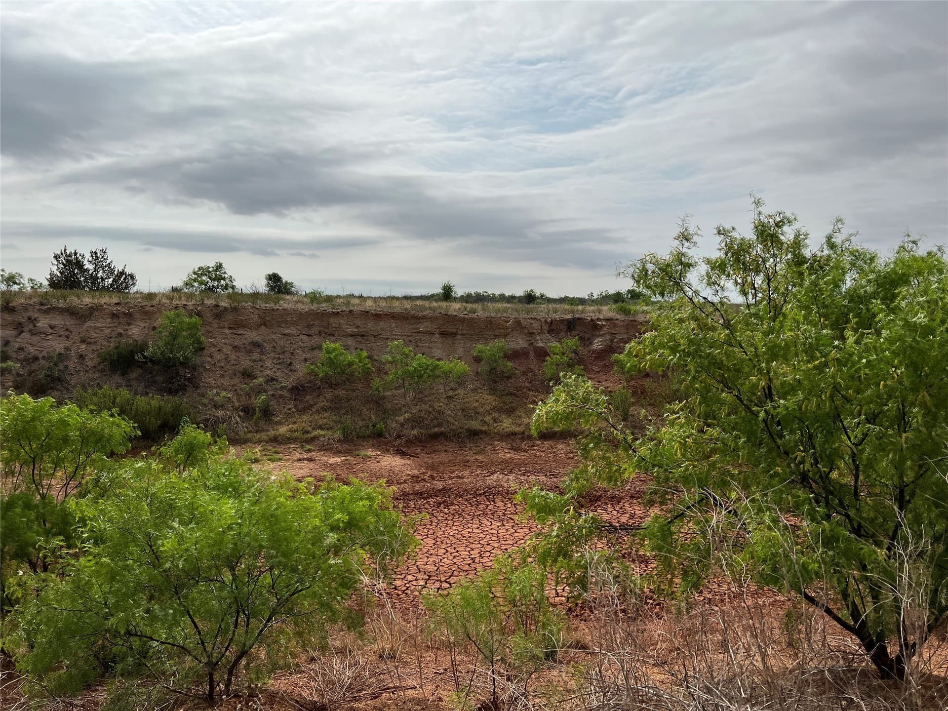35 acres in Coke County - photo 24