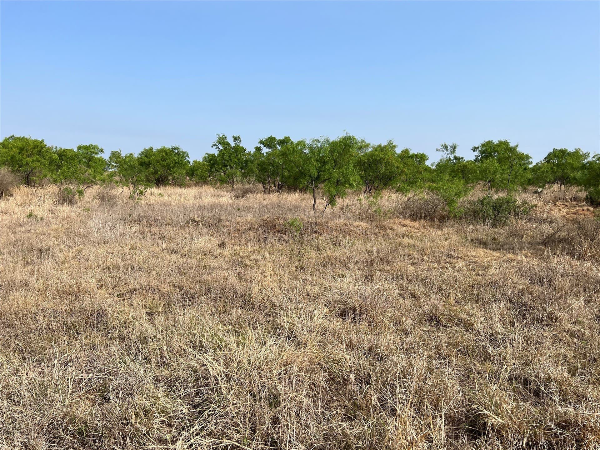 35 acres in Coke County - photo 18