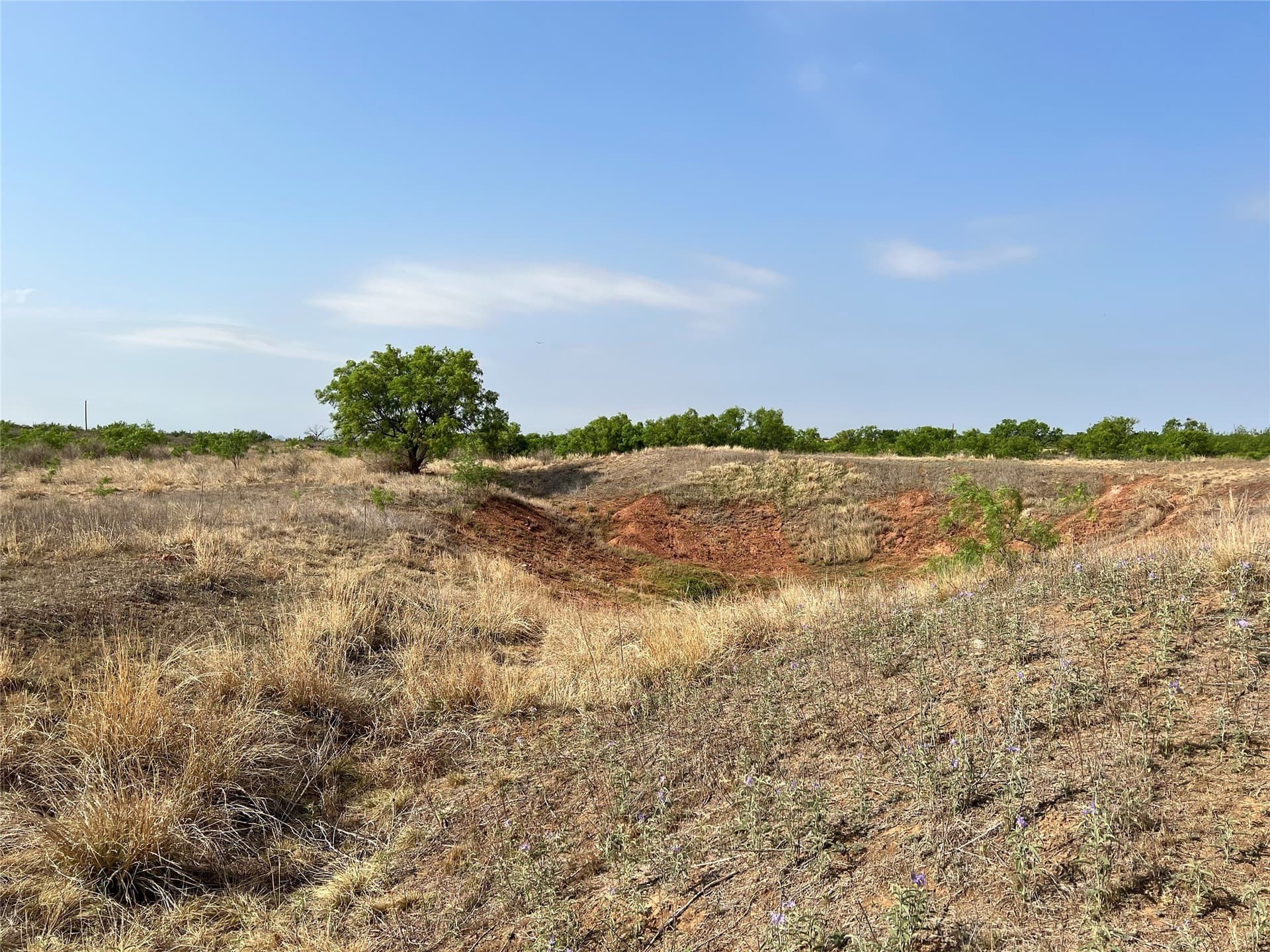 35 acres in Coke County - photo 22