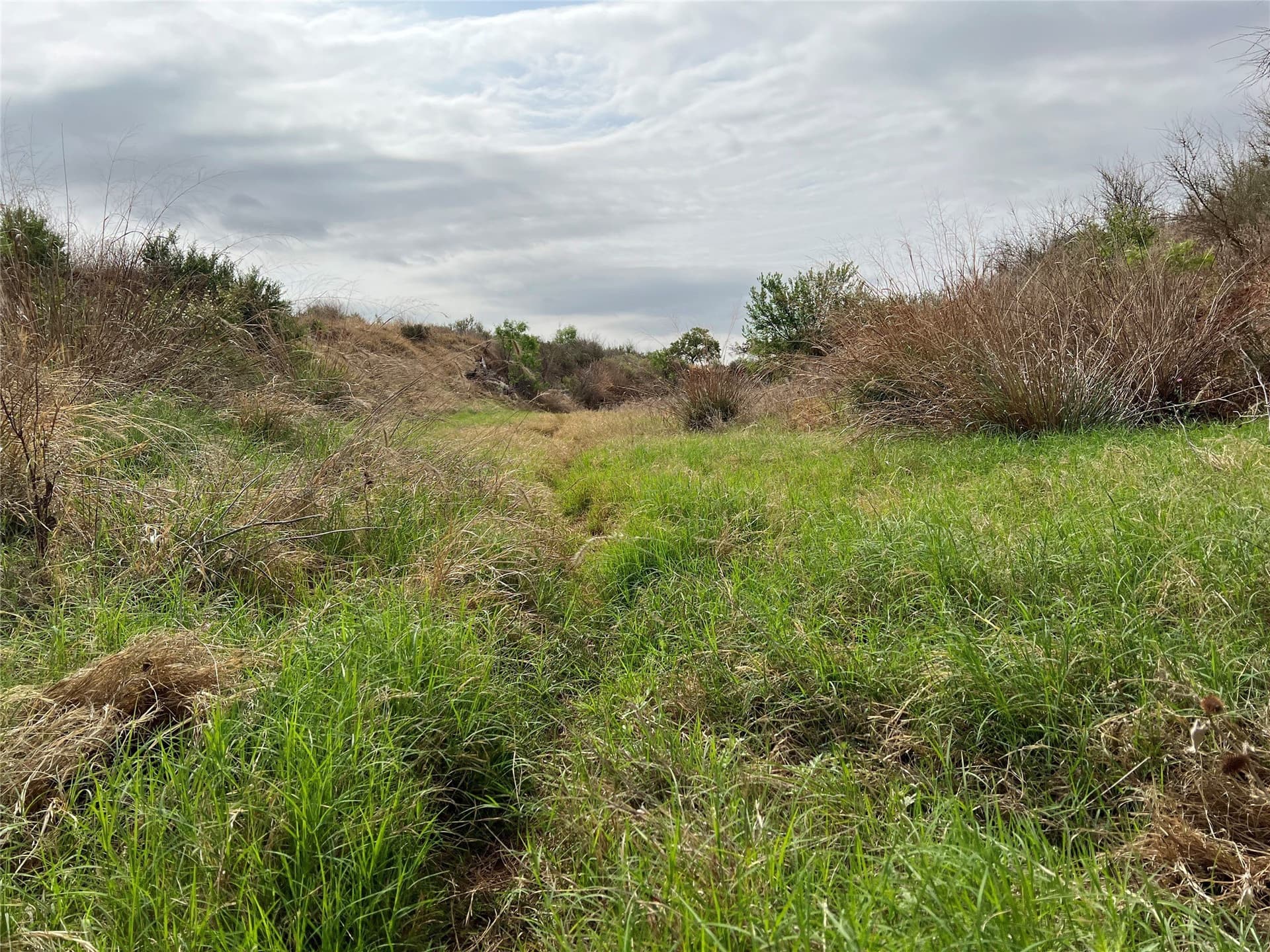 35 acres in Coke County - photo 26