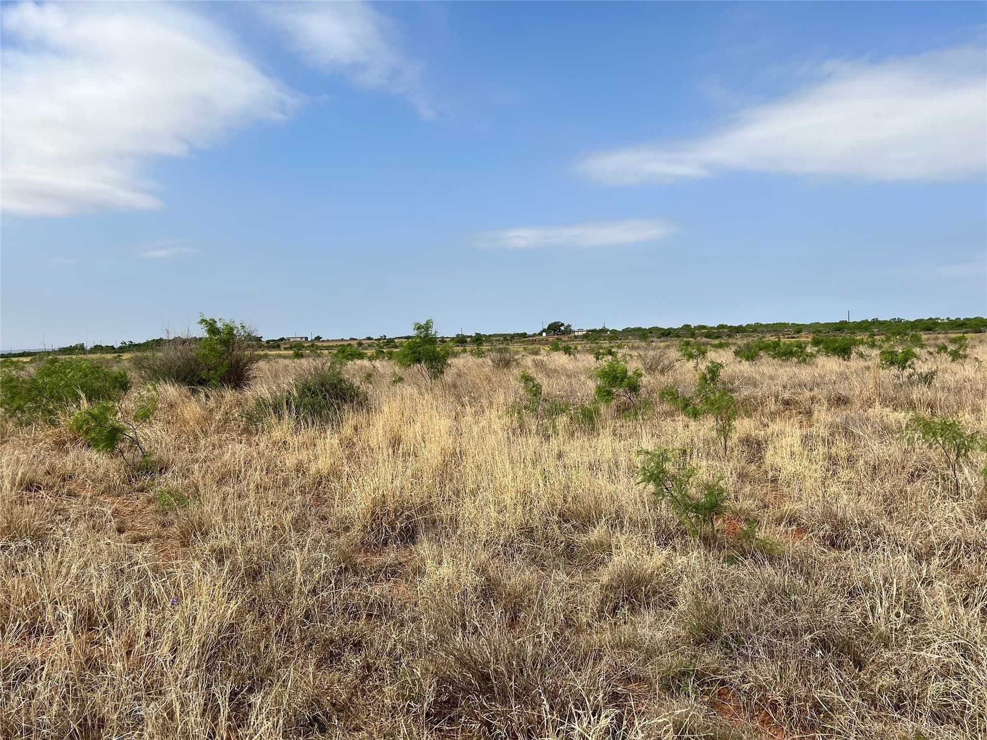 35 acres in Coke County - photo 16
