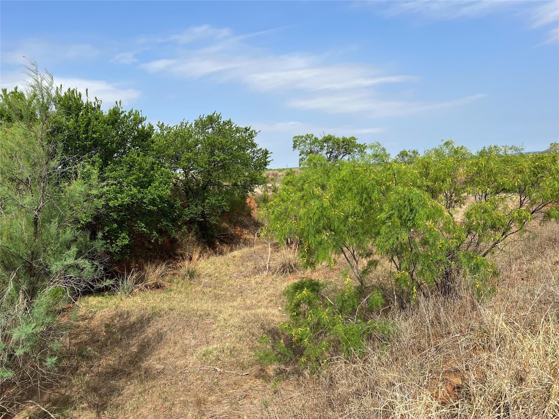 35 acres in Coke County - photo 25