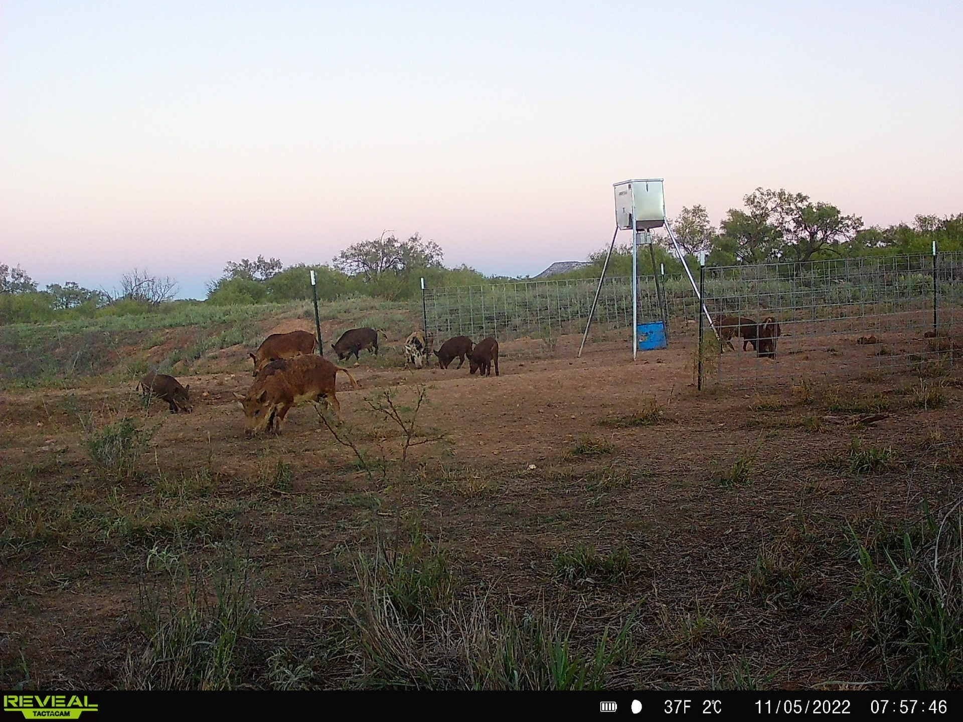 35 acres in Coke County - photo 2