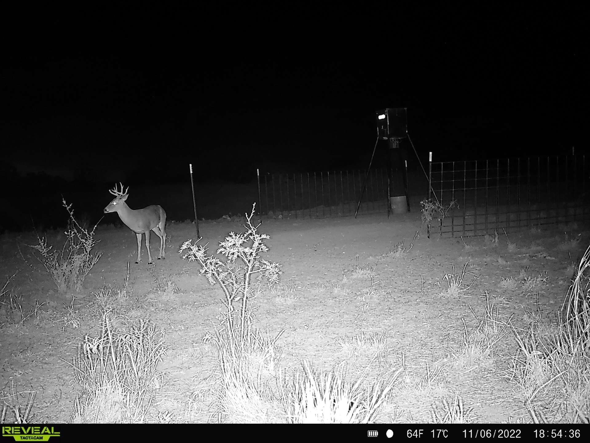 35 acres in Coke County - photo 7