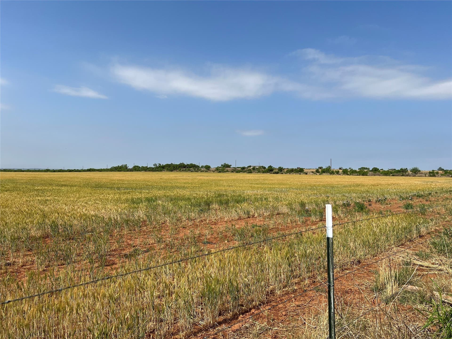 35 acres in Coke County - photo 29
