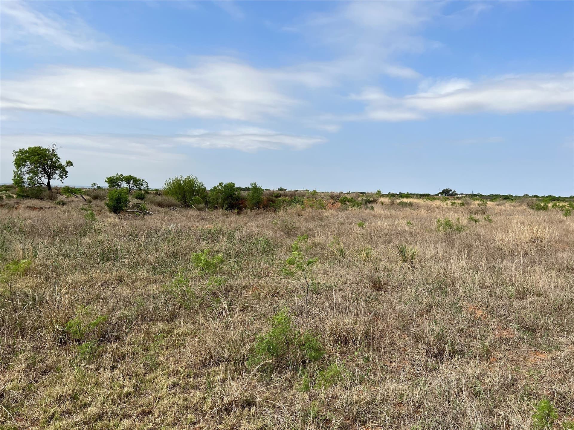 35 acres in Coke County - photo 15