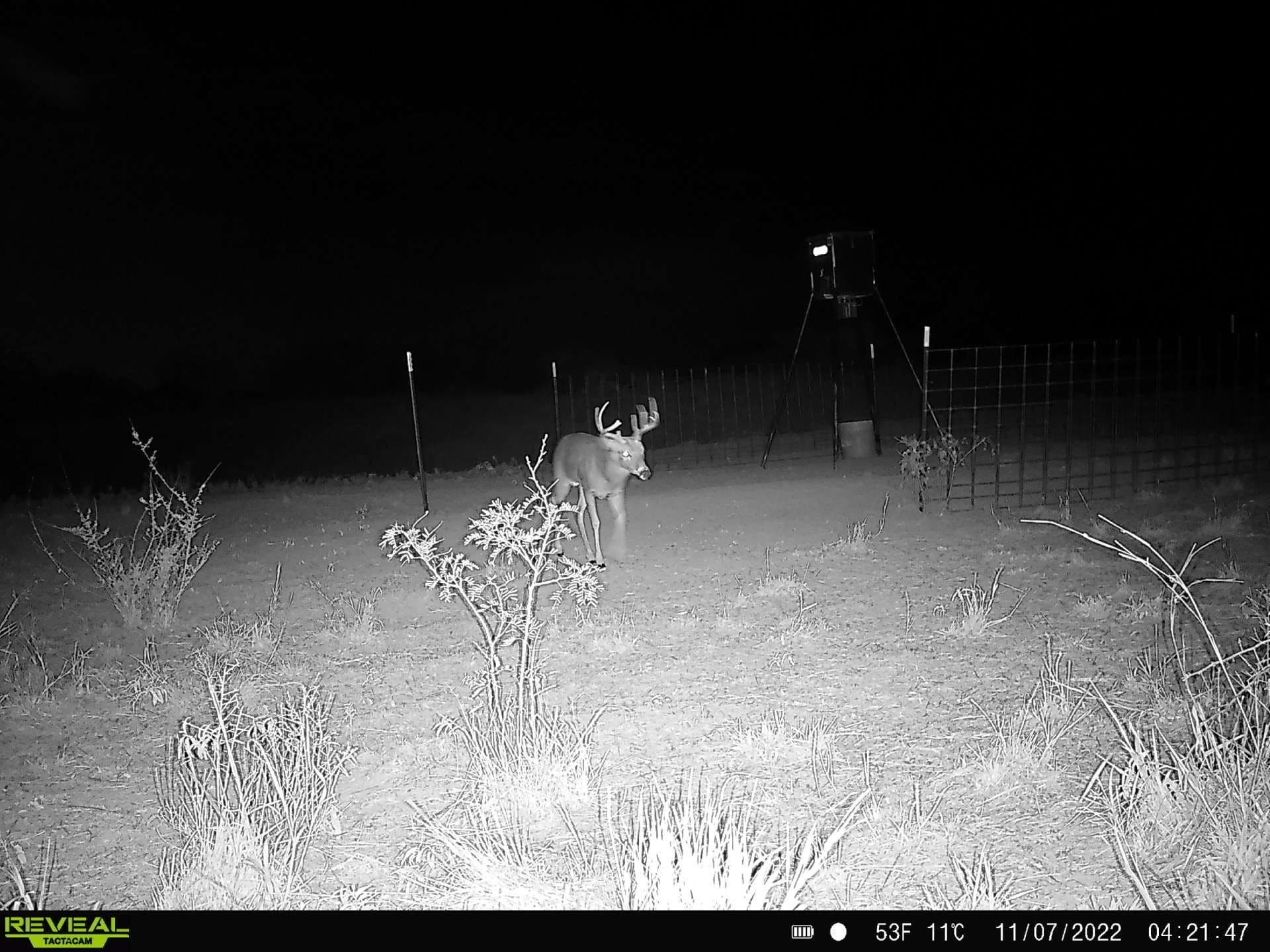 35 acres in Coke County - photo 8