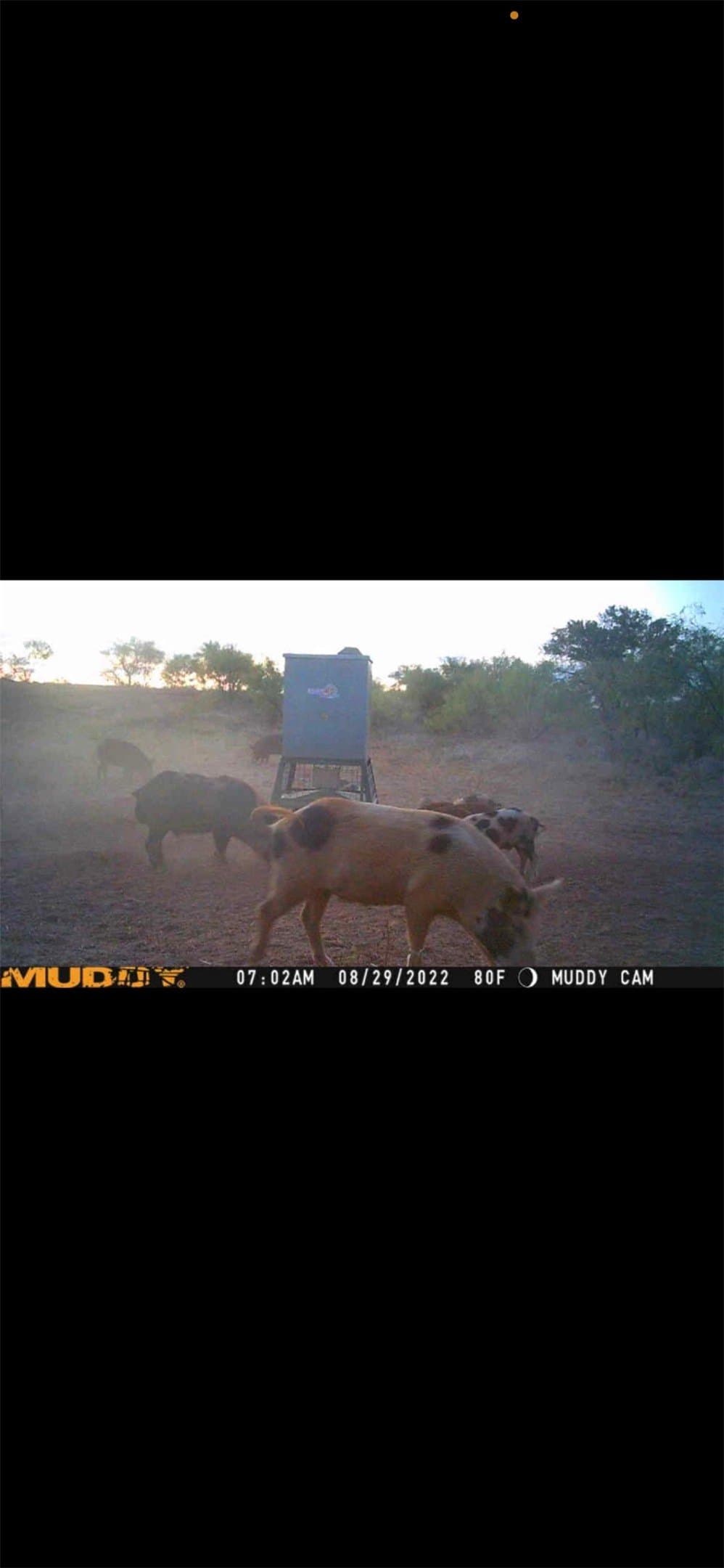 35 acres in Coke County