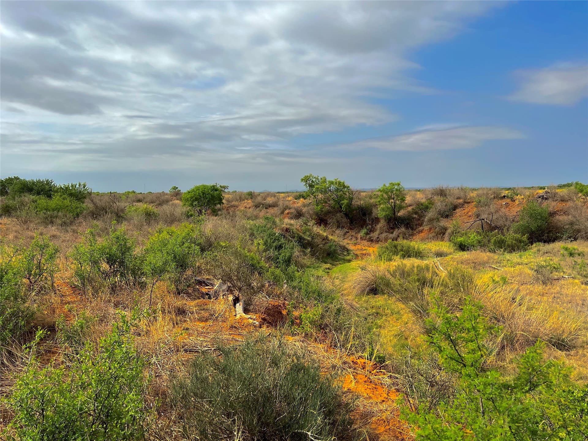 35 acres in Coke County - photo 28