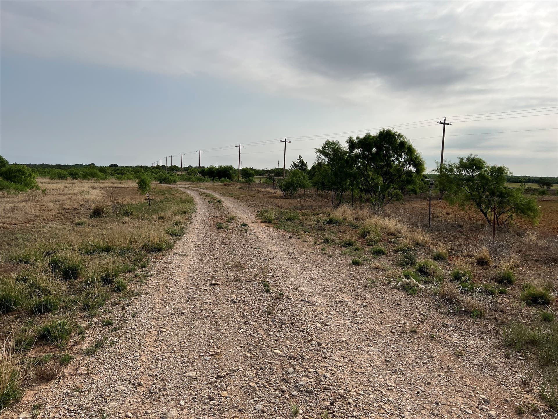 35 acres in Coke County - photo 12