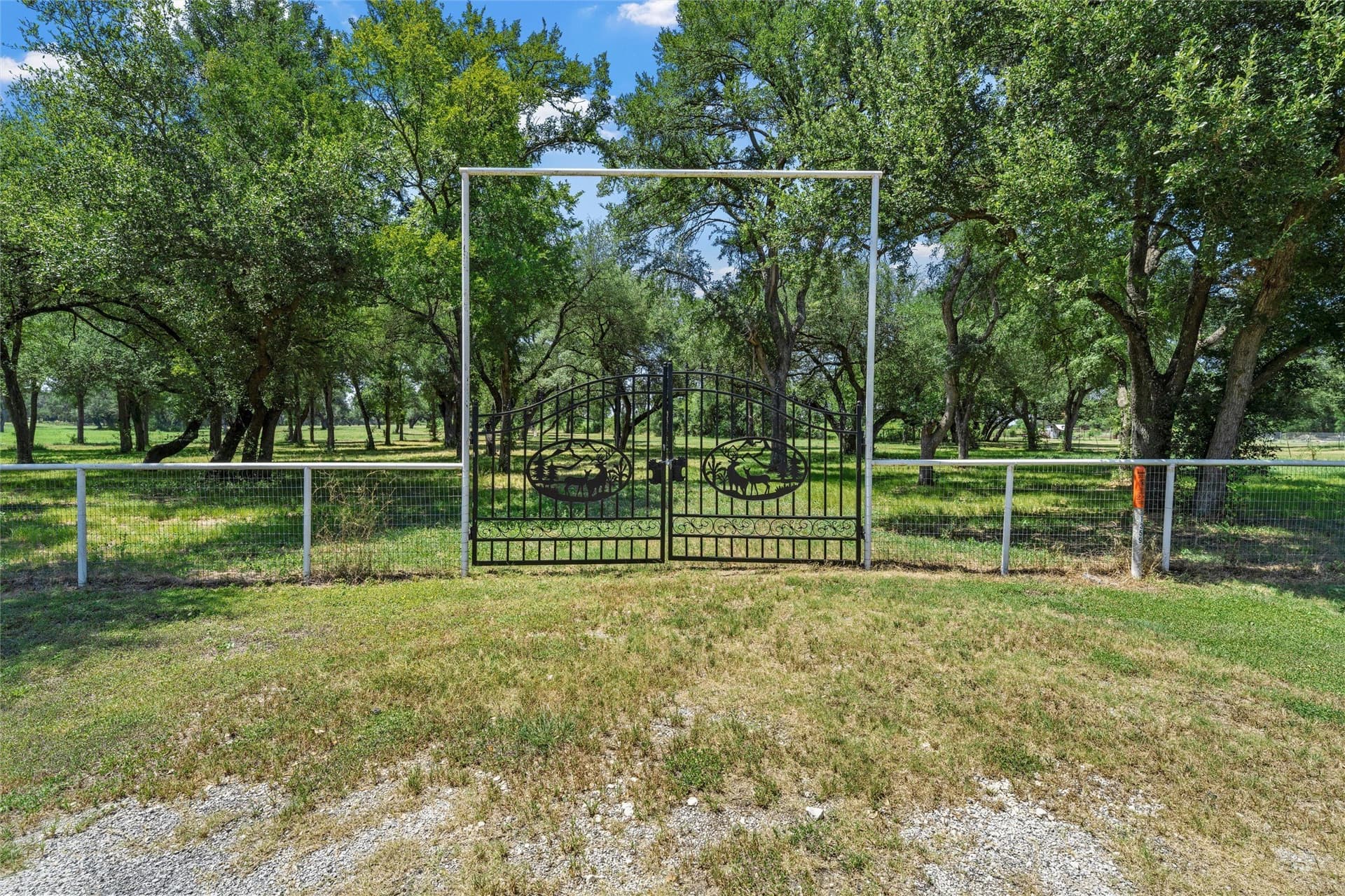 101.14 acres in Falls County - photo 24