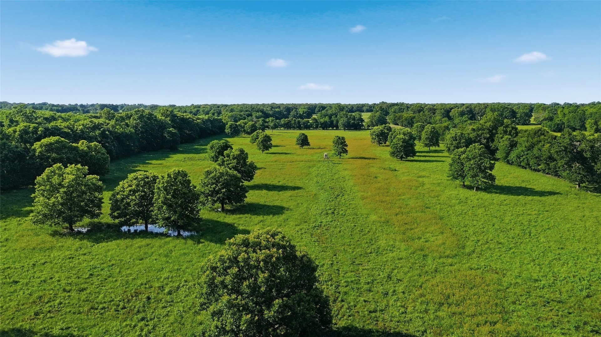 38.67 acres in Delta County - photo 31