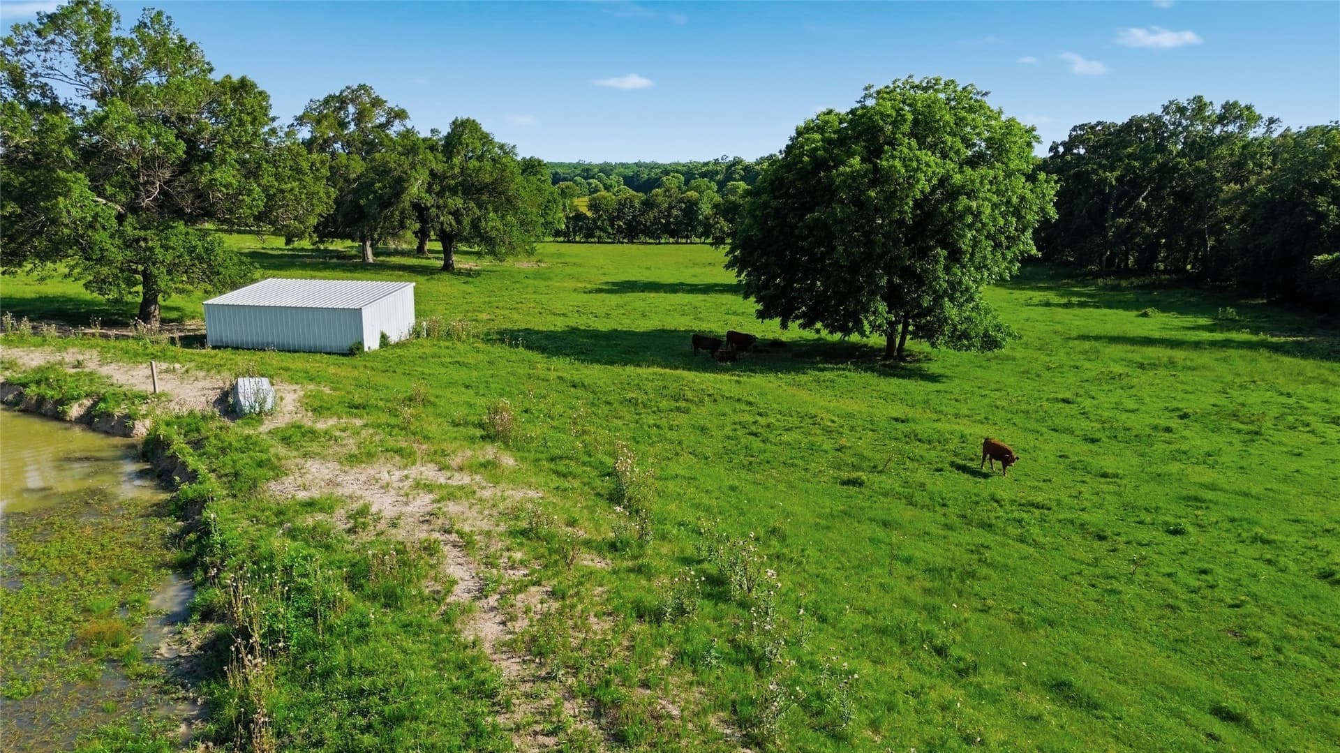 38.67 acres in Delta County - photo 19