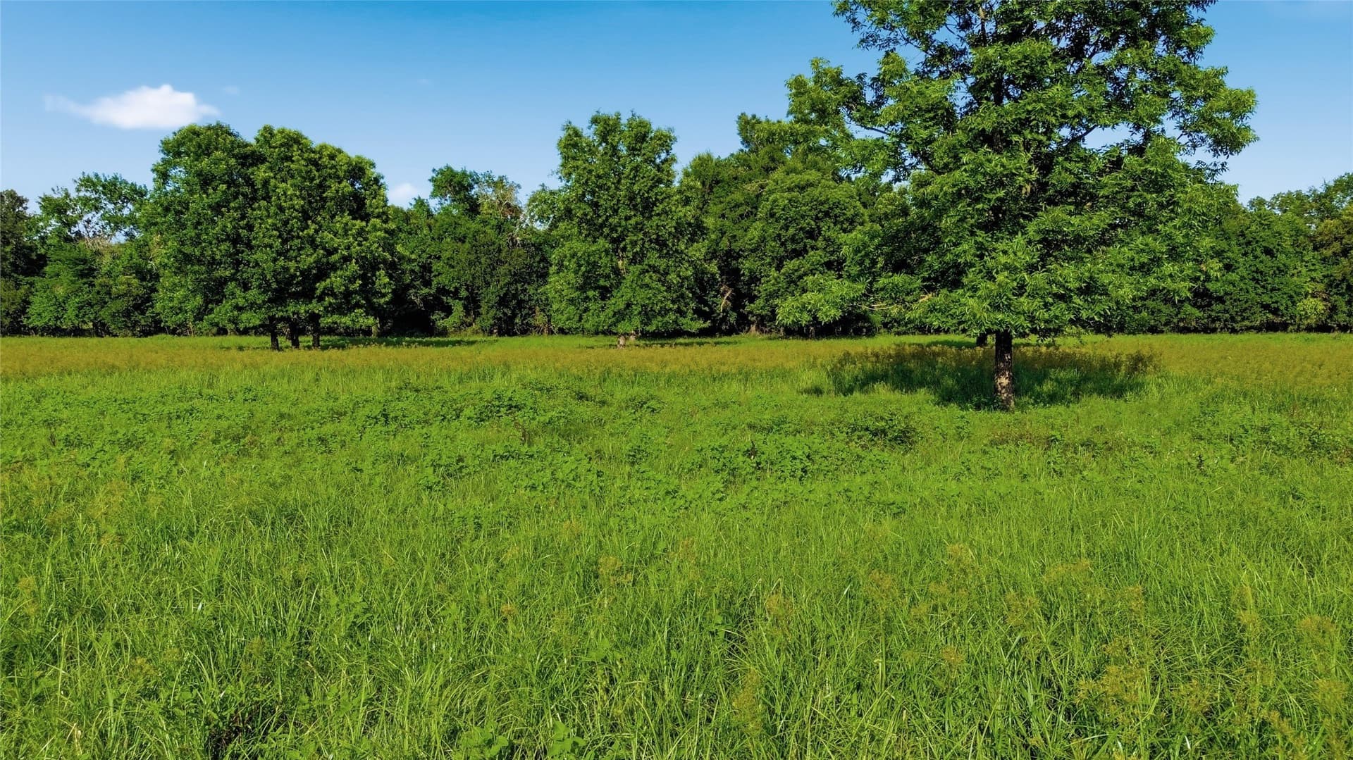 38.67 acres in Delta County - photo 35